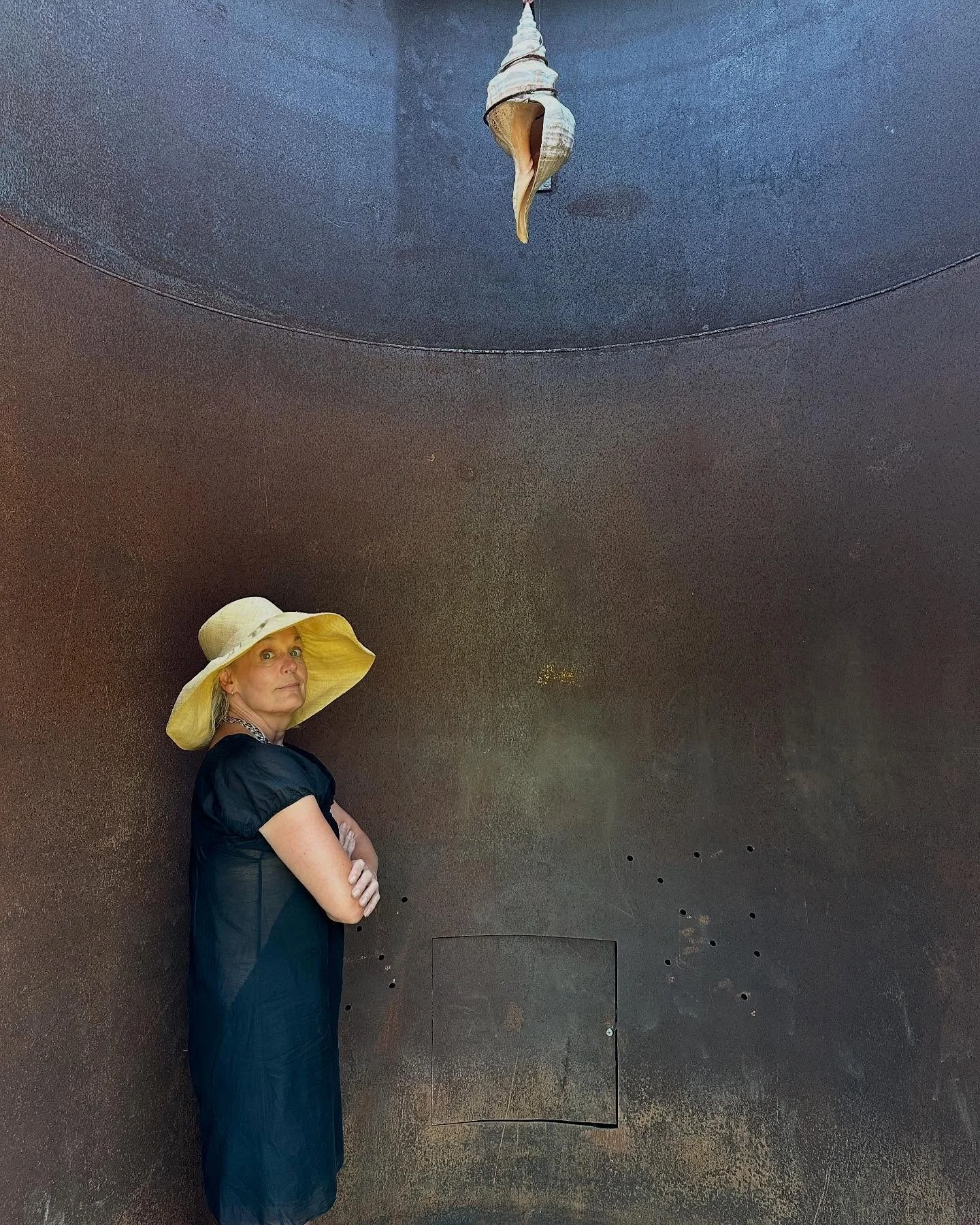 Saw a lot of very cool art and met a lot of very cool people today during @upstateartweekend. #radciffebailey #kikismith #danaschutz #francisupritchard #ryanjohnson @stan.douglas  #standouglas @thecampusupstate @jackshainman @ccsbard @skyhighfarms 
F