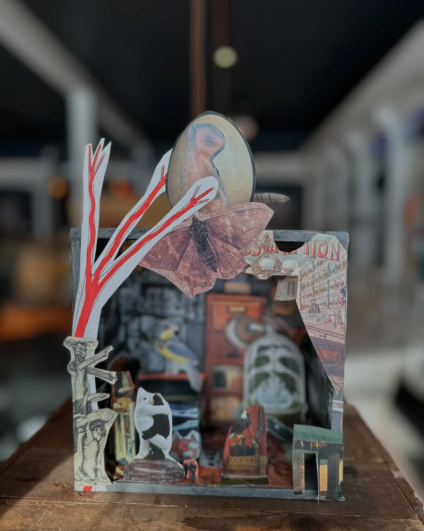 Happy birthday @davidbunde. This piece is called David&rsquo;s Natural History Museum. Elective Affinities &hearts;️&hearts;️&hearts;️