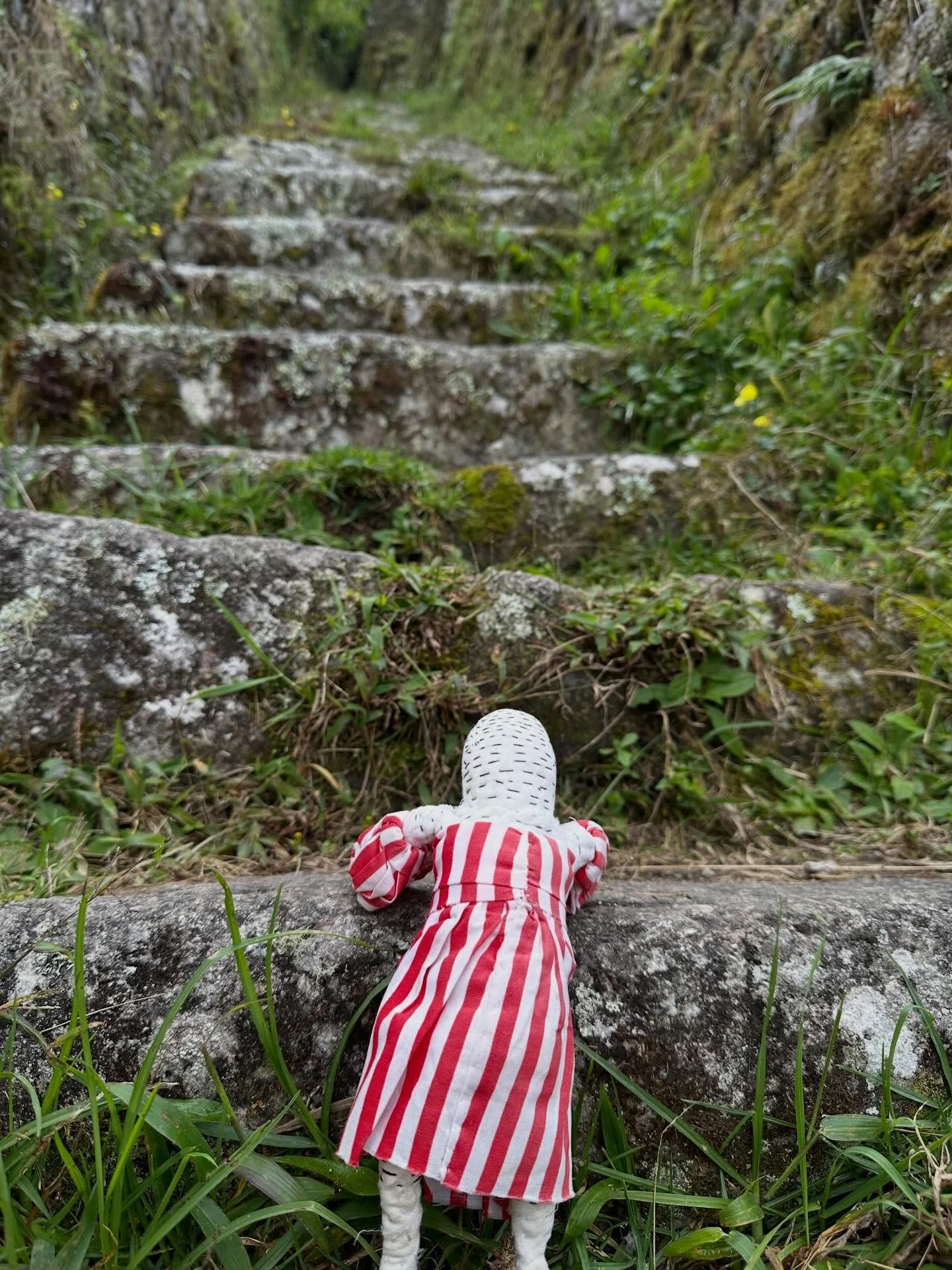 Little Owl&rsquo;s journey to Machu Picchu (part of an upcoming project: Delusions of Grandeur or The Never Ending Staircase).