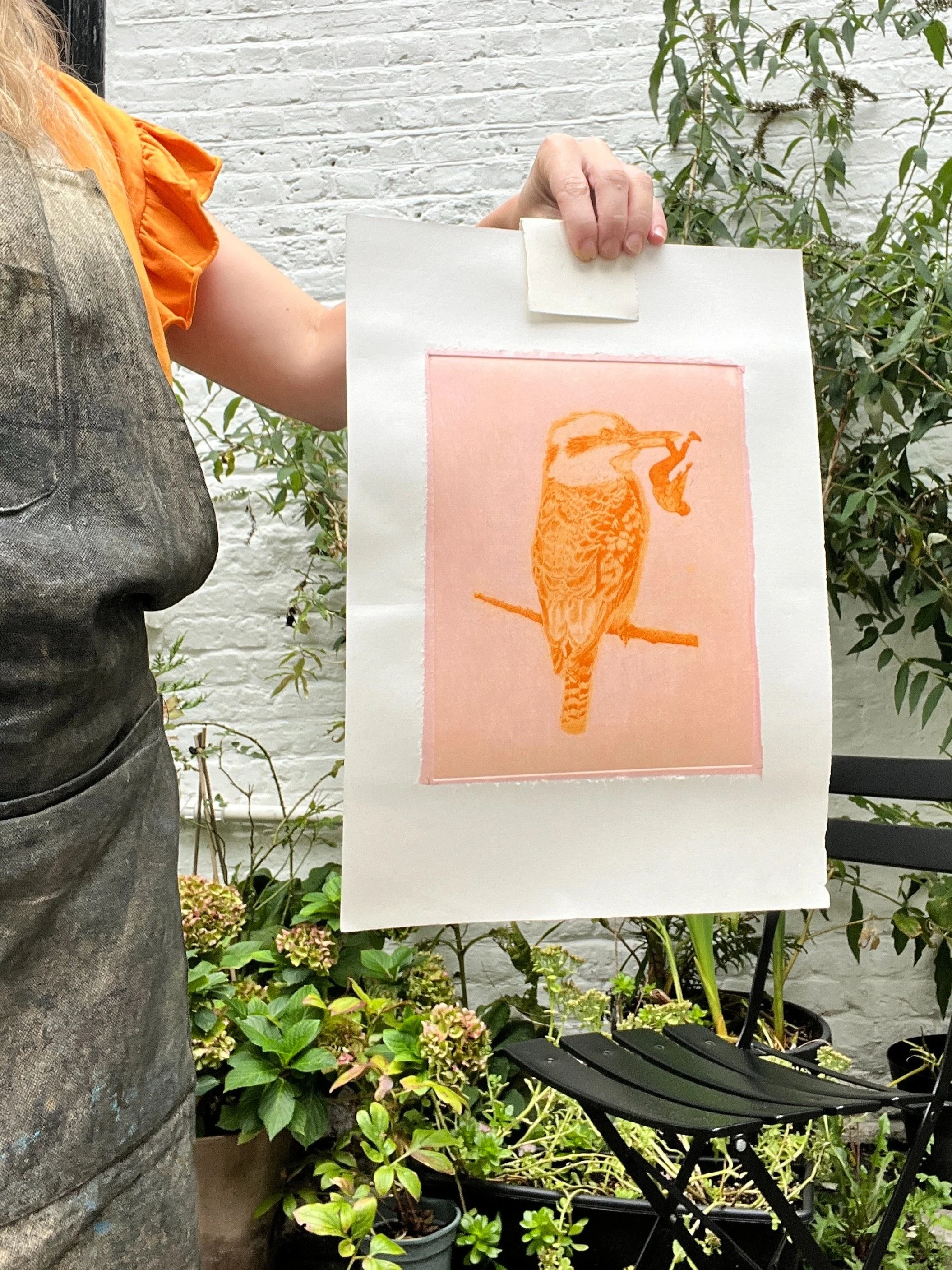 misdiagnosed (pink chine collé)