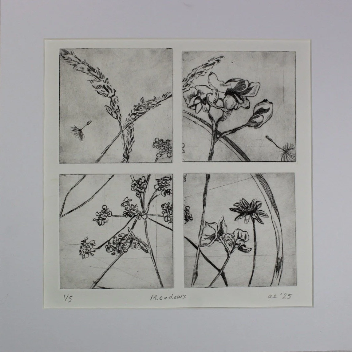 'Meadows'- Original Etching