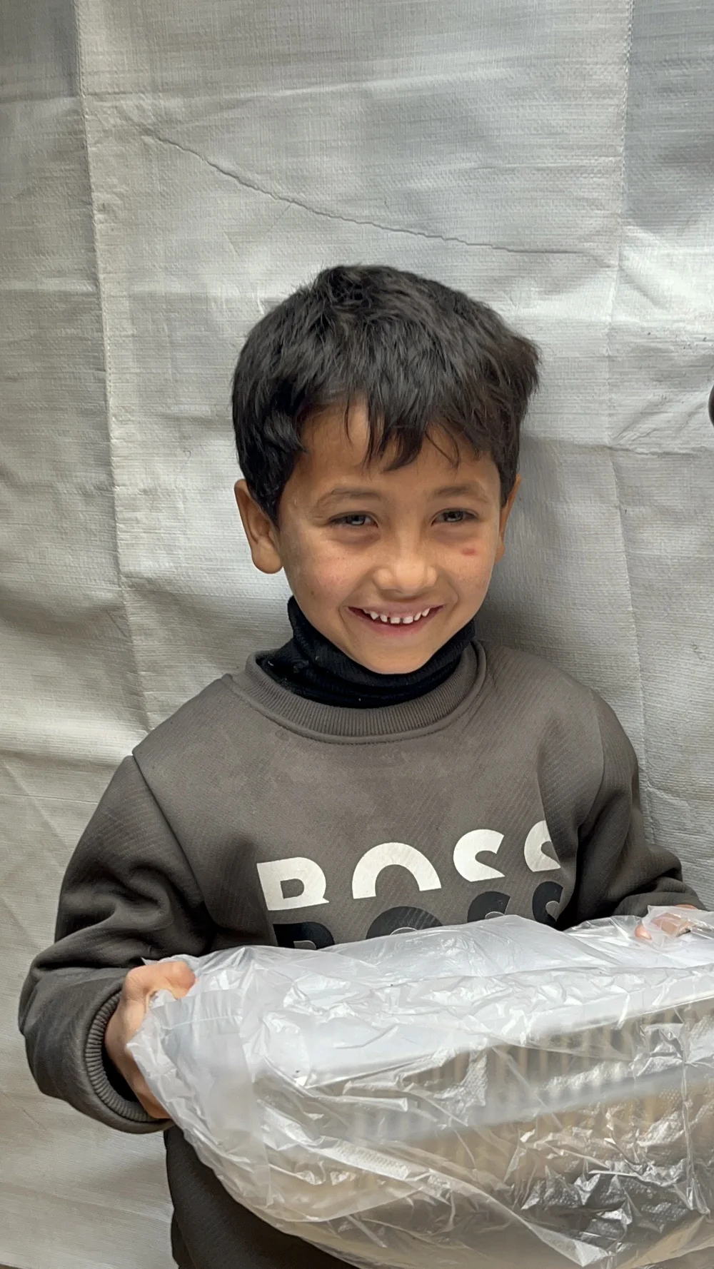 Food support in Gaza