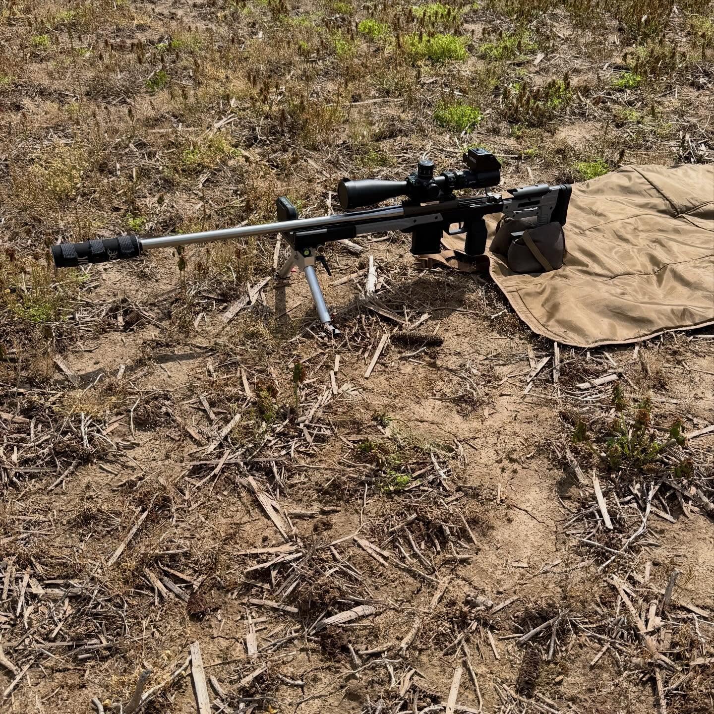 Mossberg stretching her legs!