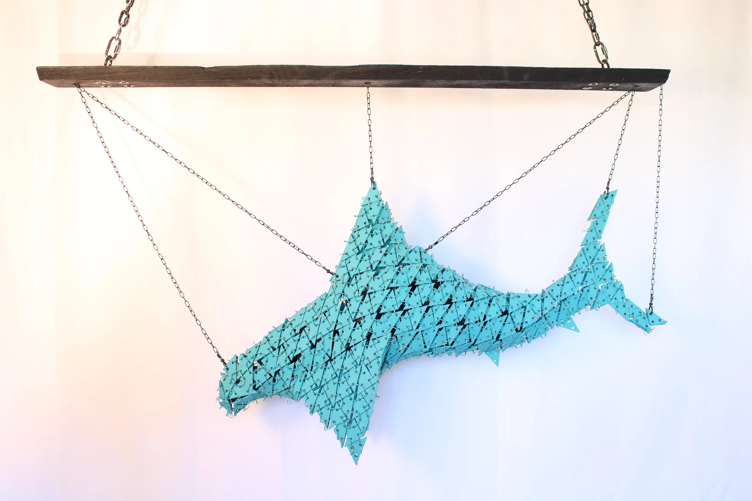 Shark One