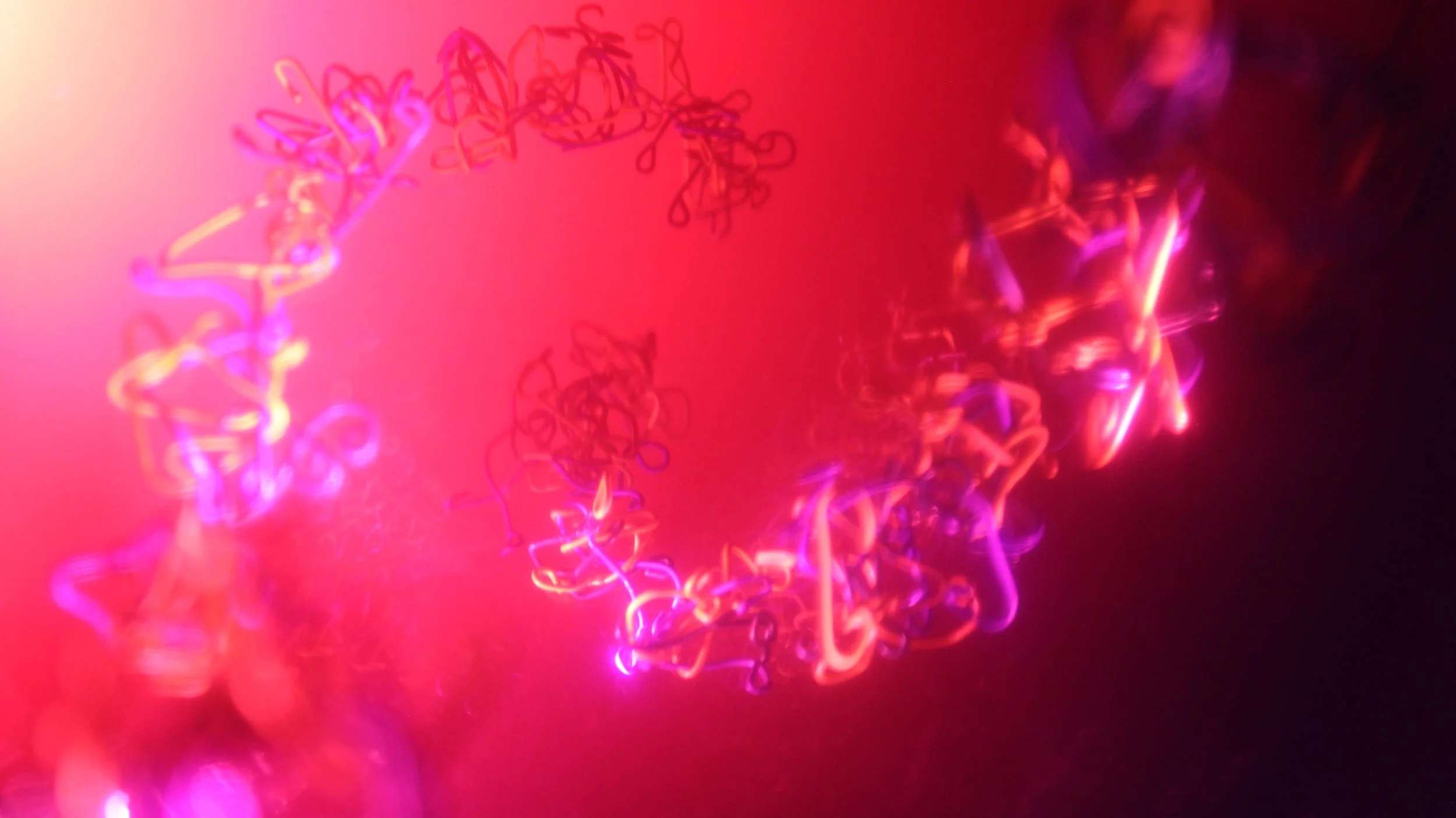 DNA
