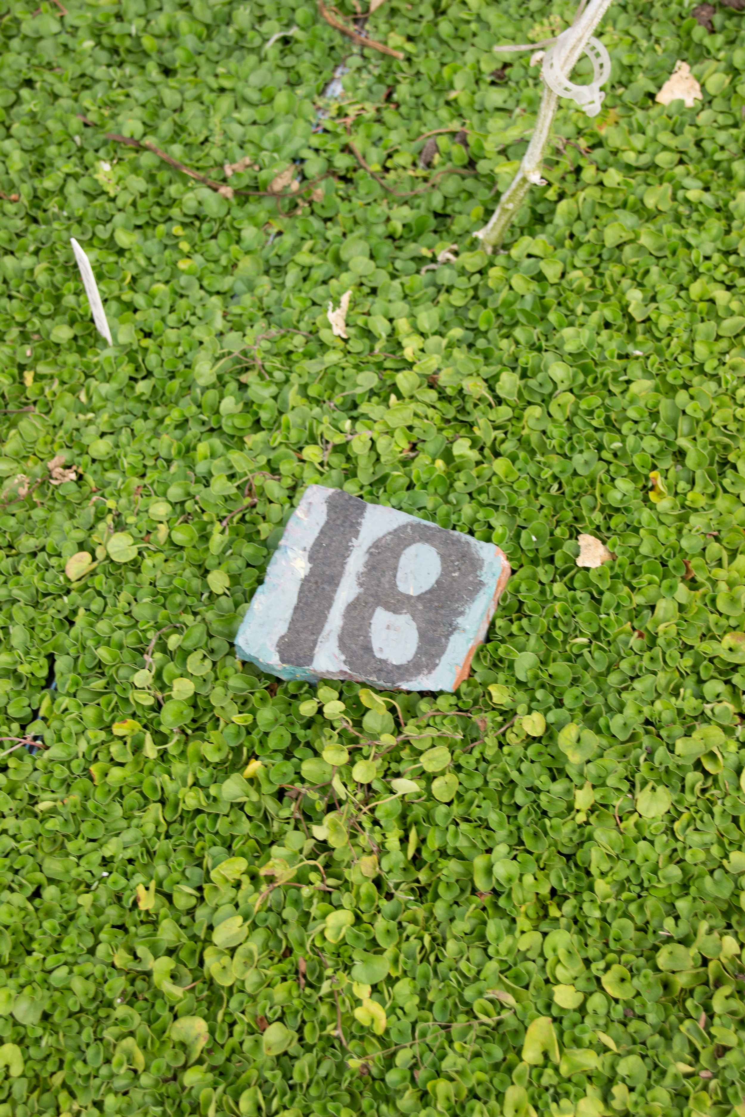 CFS10-9-47.jpg