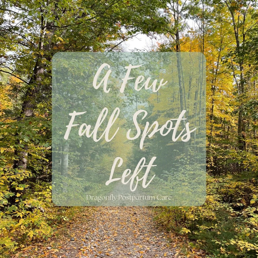 I&rsquo;ve checked my calendar and have space for a few more families this fall. 🤱

If you&rsquo;re welcoming a baby in September or October, imagine having someone to guide you through feeding questions, emotional ups and downs, and hands-on newbor