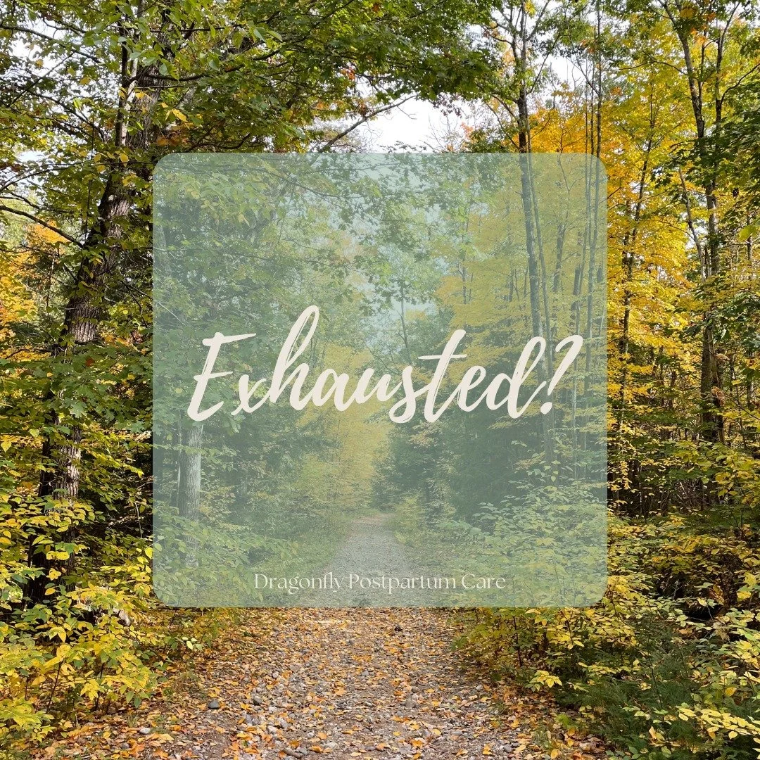 You don&rsquo;t have to figure it all out alone. I offer postpartum and lactation support to new parents and have a few September &amp; October openings remaining.

📩 DM me today to learn how I can help your family in these early weeks.

#WellsMaine