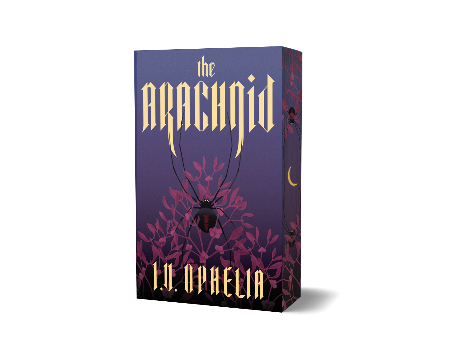 arachnid simple mock.png