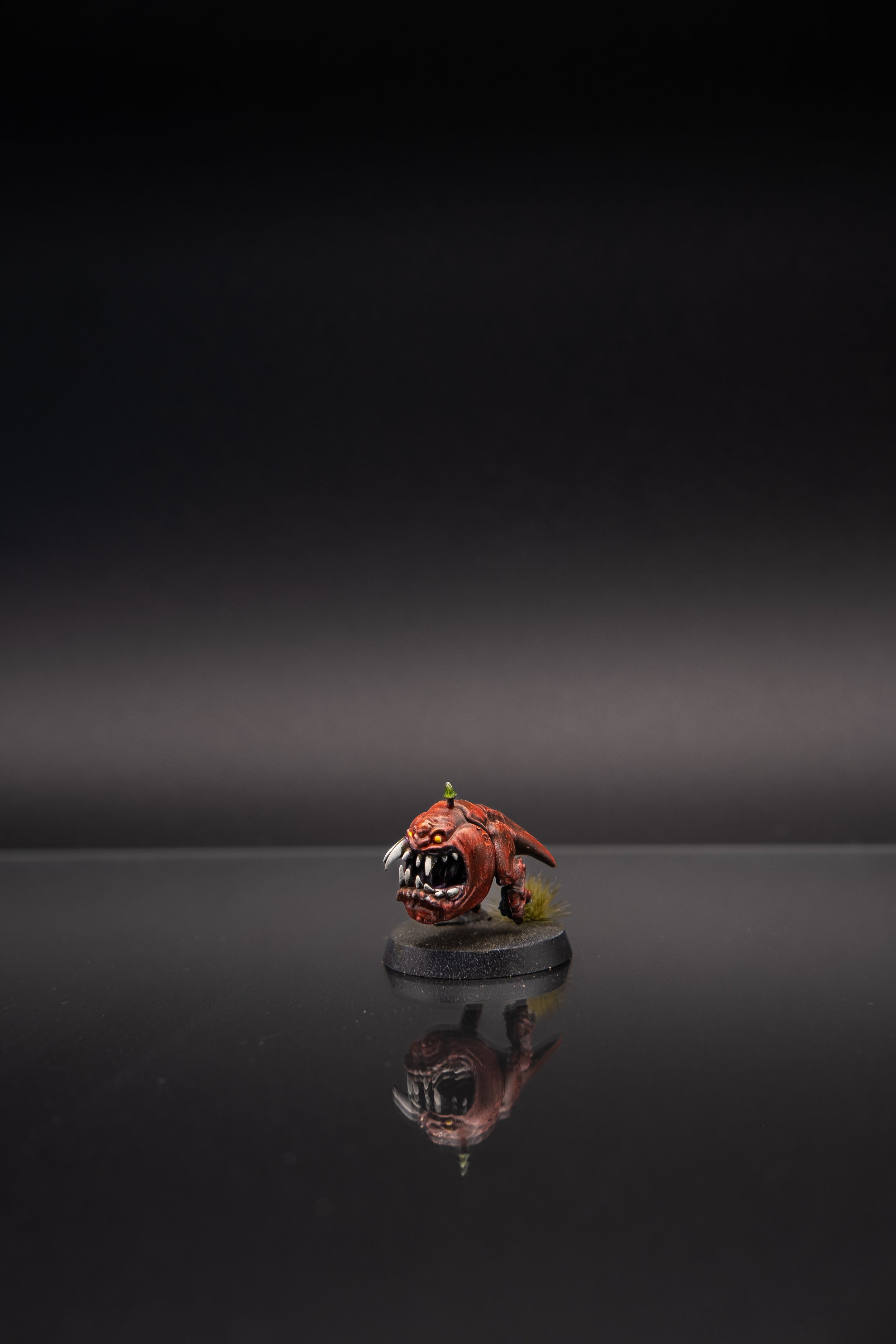 DSCF1431.jpg