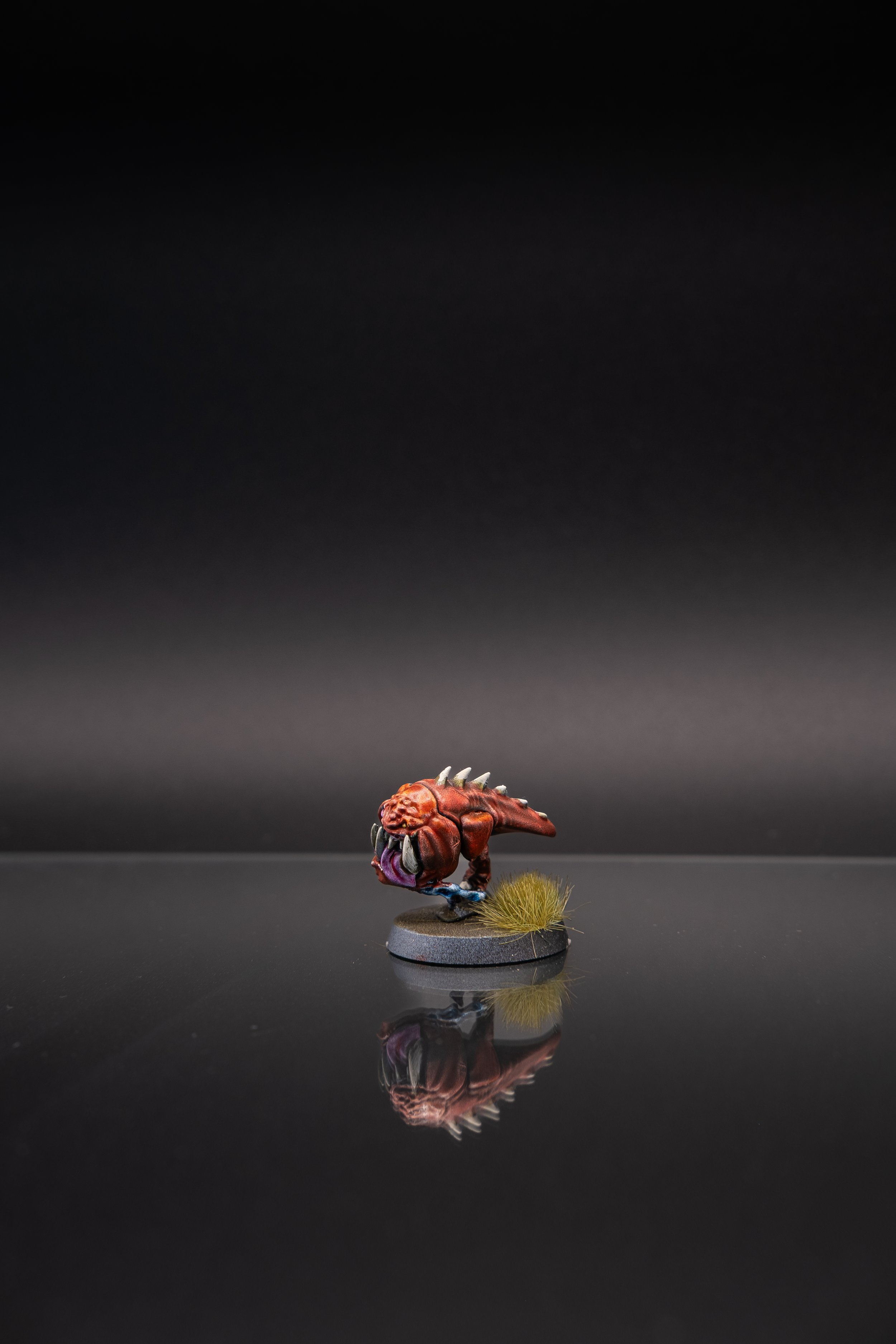 DSCF1419.jpg