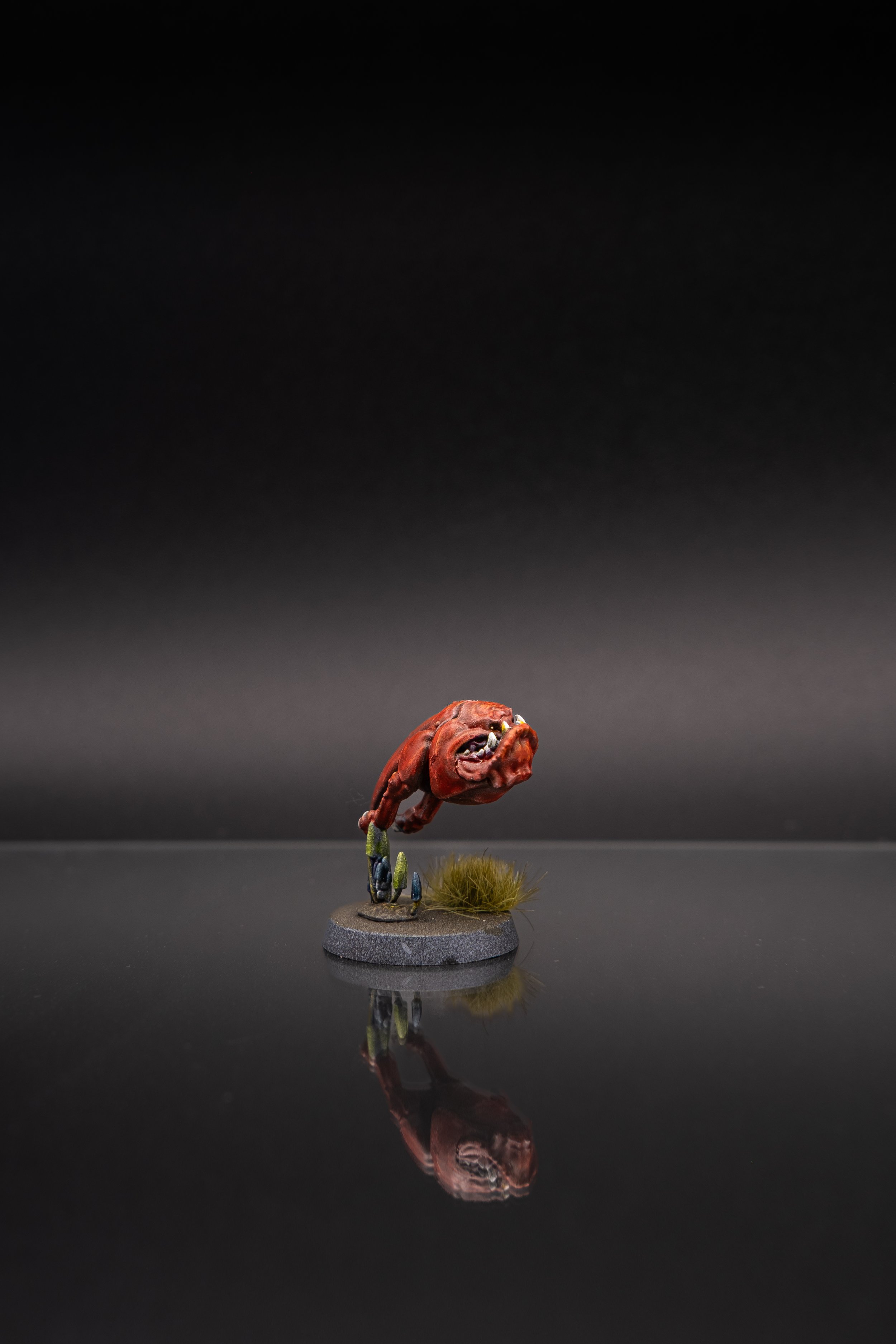 DSCF1438.jpg