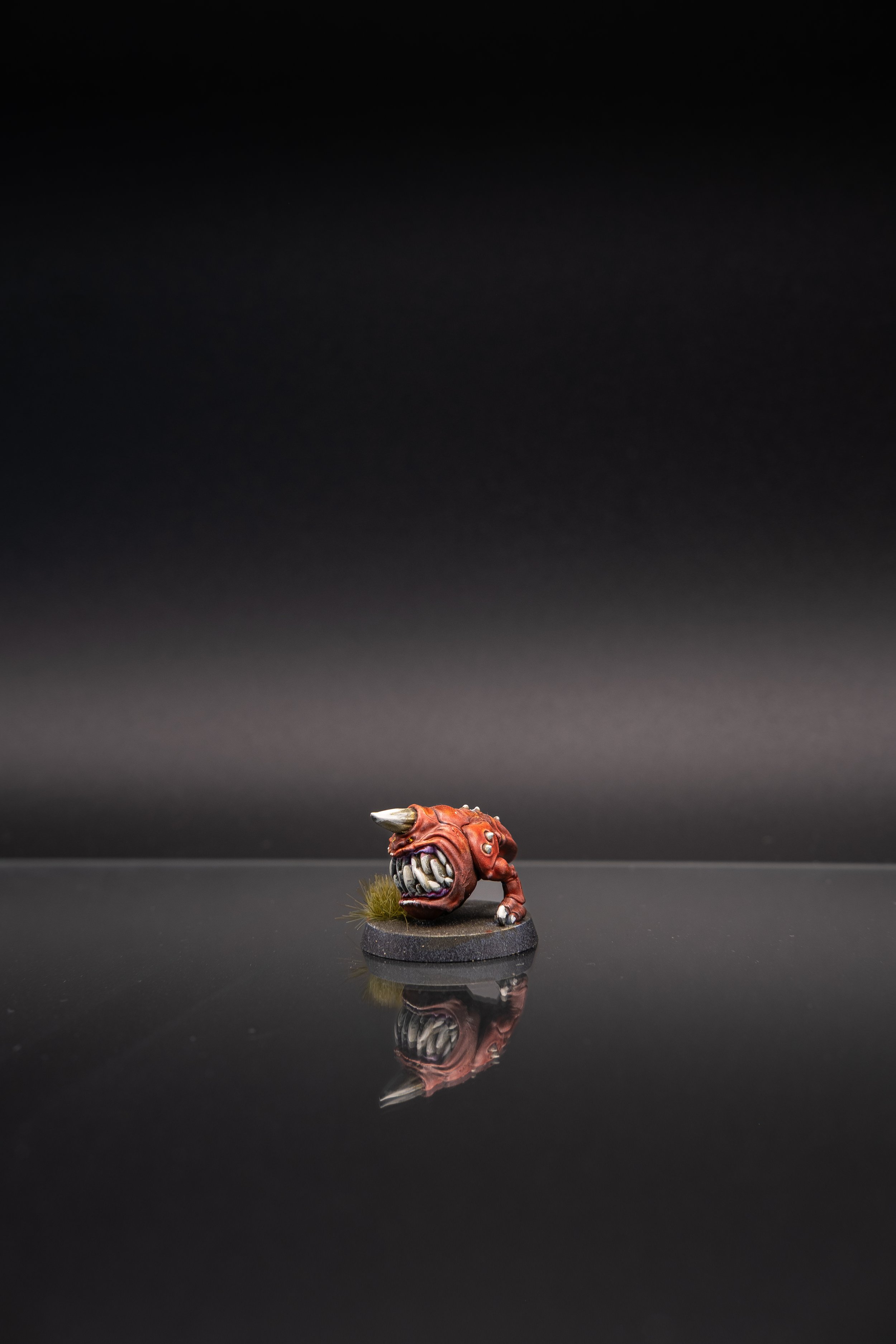 DSCF1421.jpg