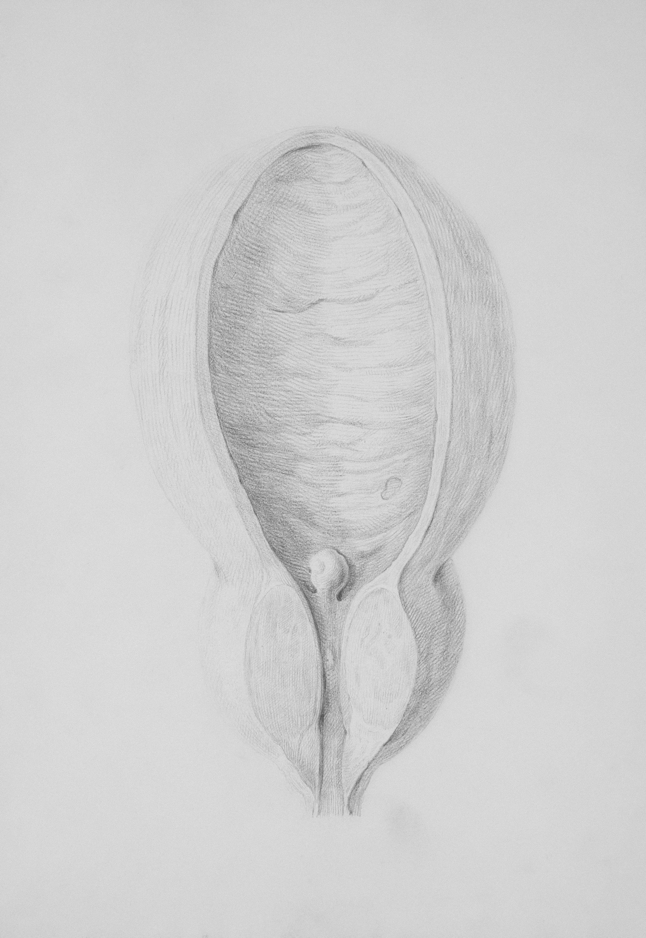 Bladder Patterns of Disharmony