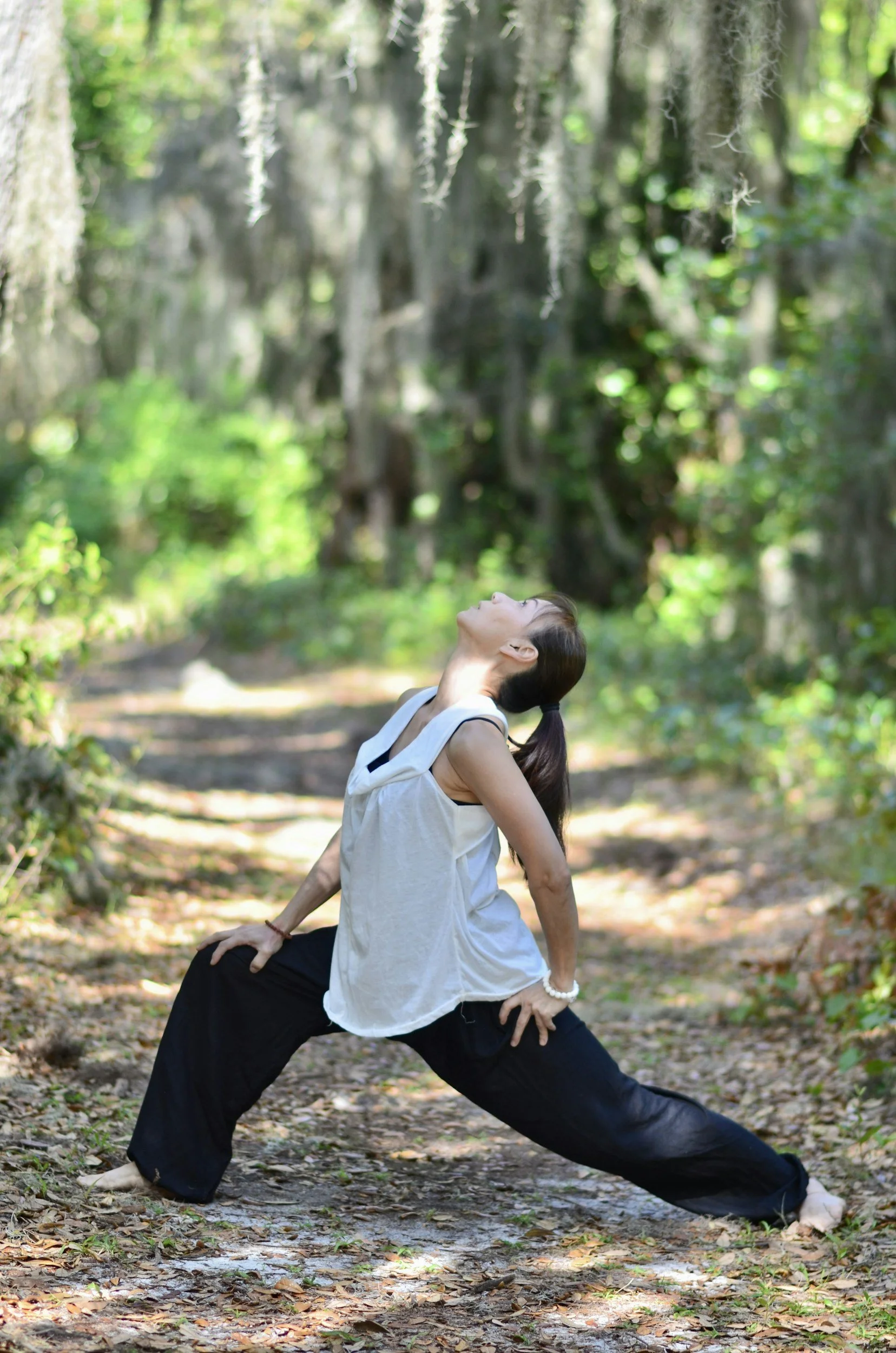 Qigong for the Joints