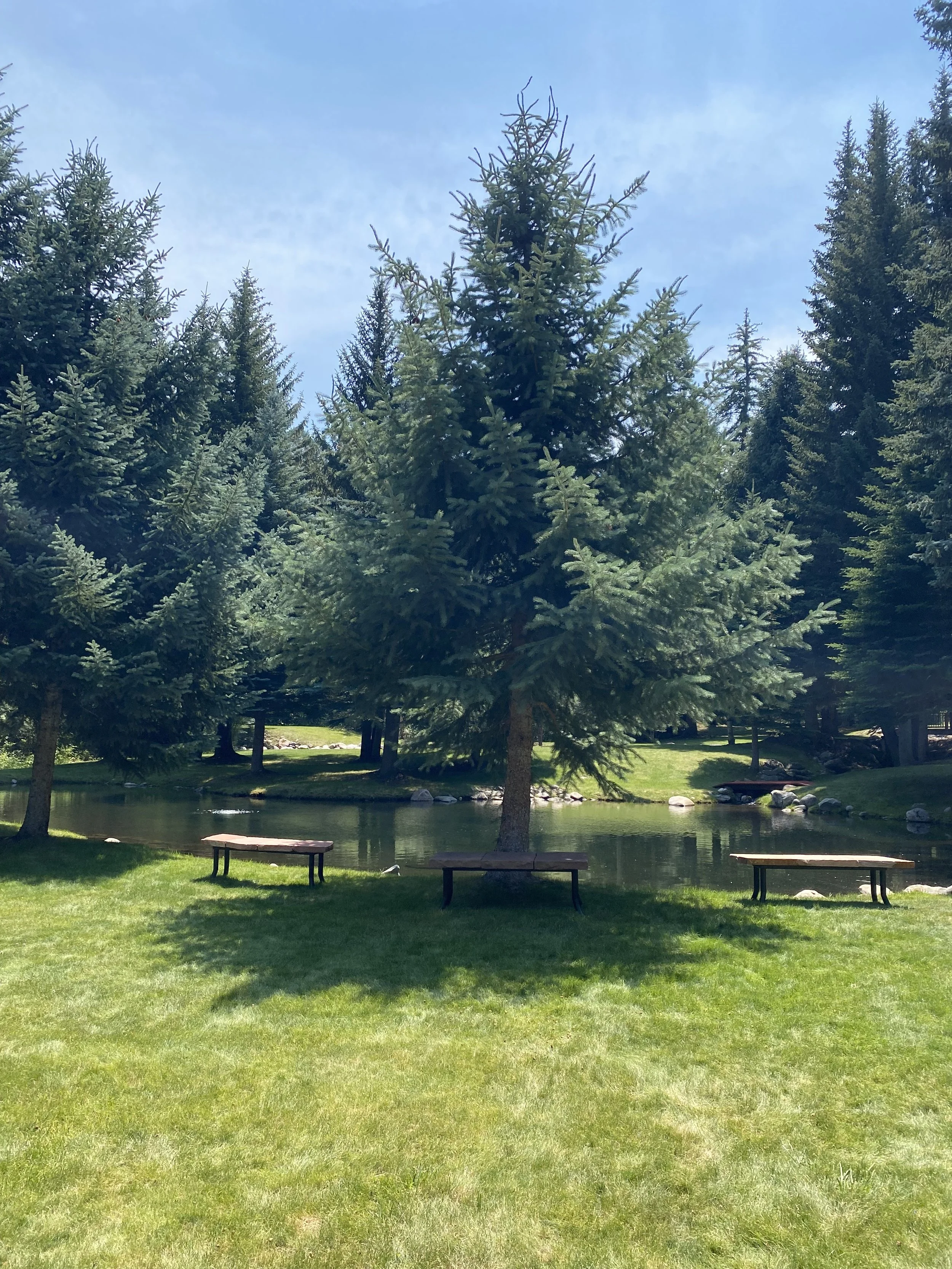 benches edwards.jpg