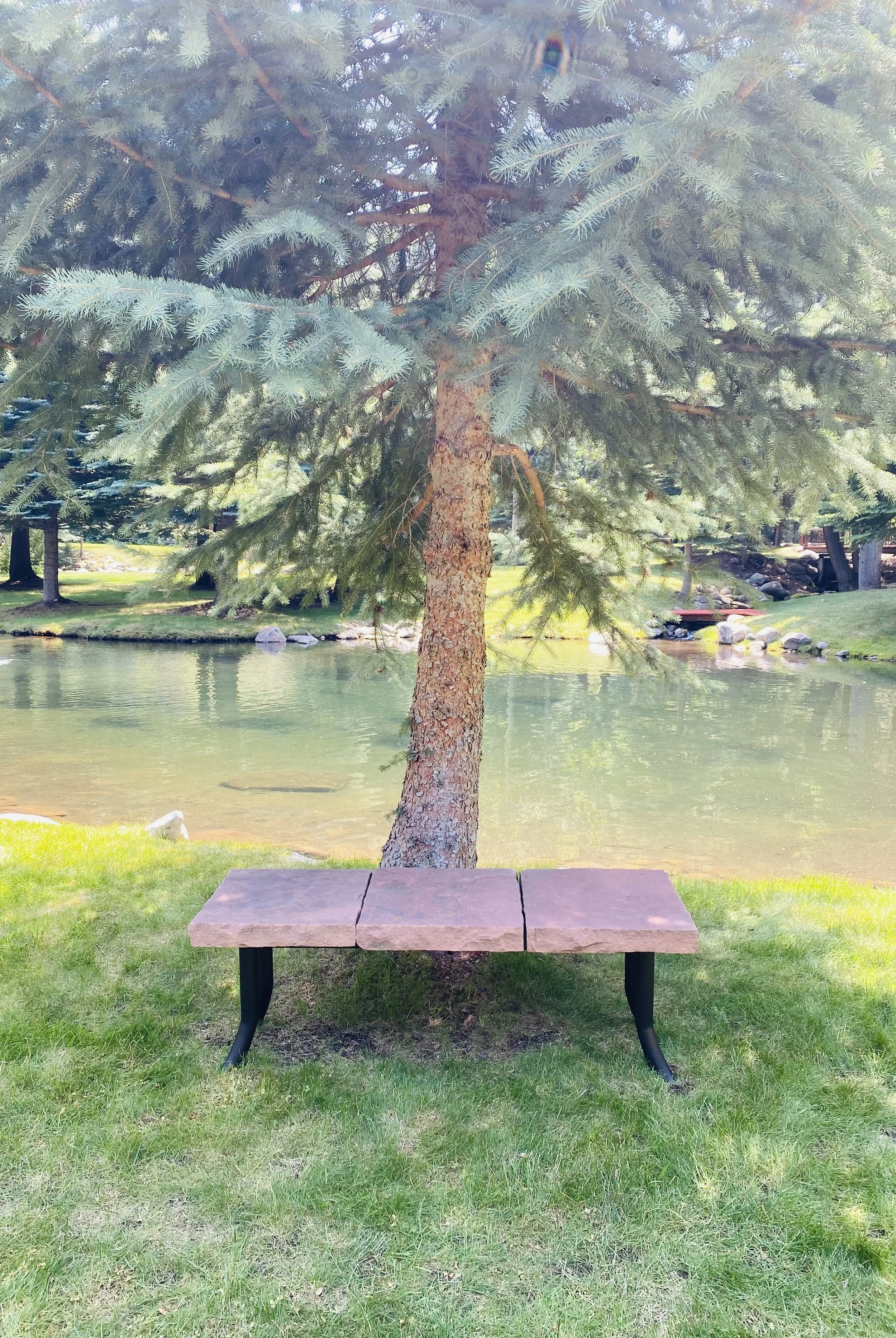 ophilia bench pond tree.jpg