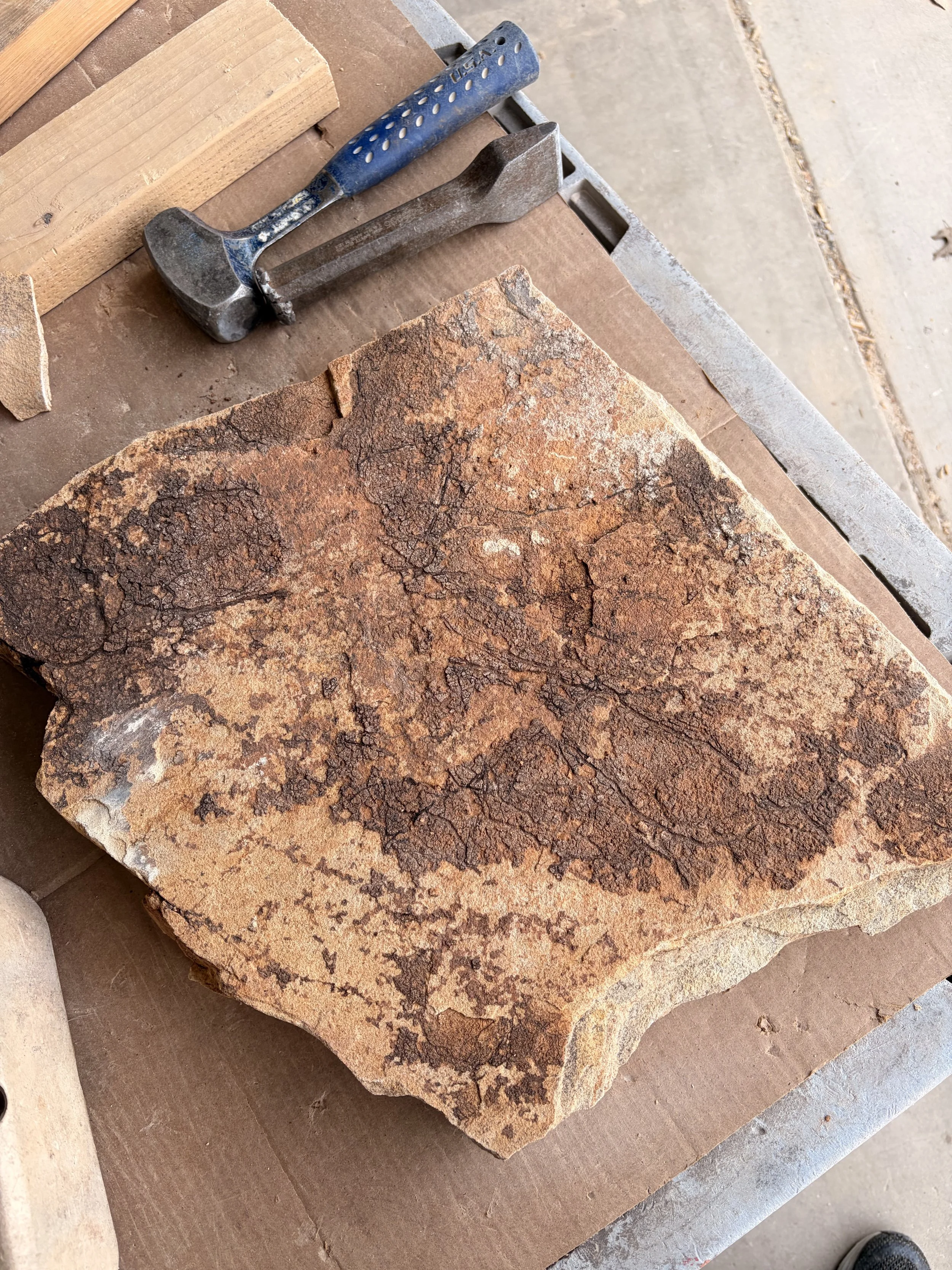 s2f stone markings.jpg