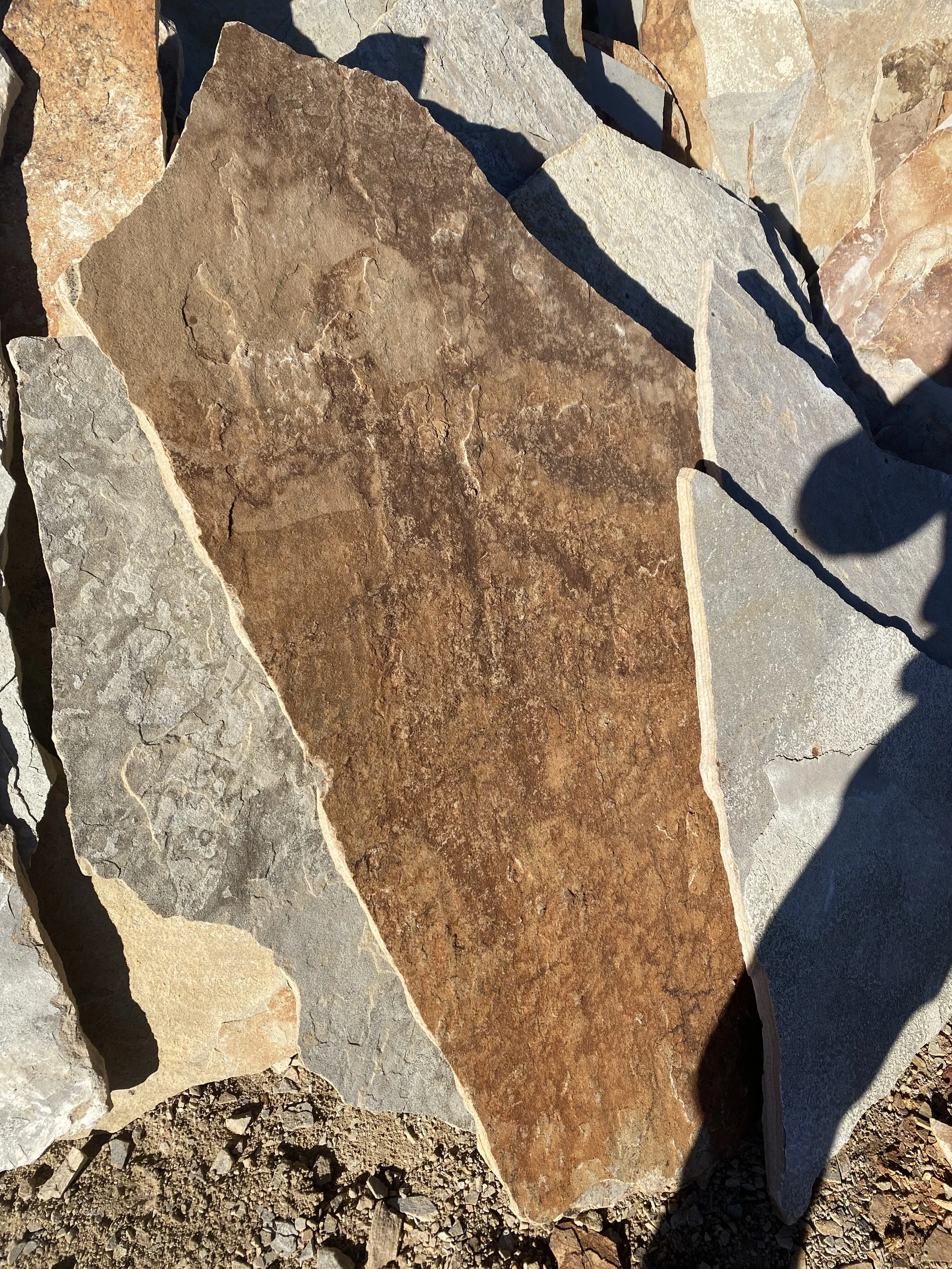 Large flat stone slab with earthy colors and textured surface, surrounded by other rocks on the ground.