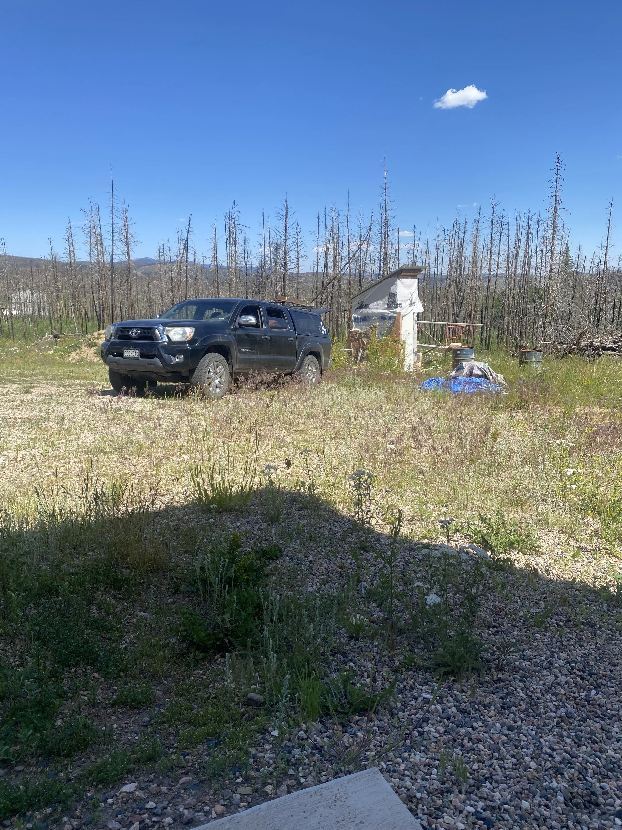 A black Toyota pickup truck parked on a grassy, rocky field near a small, stone structure with a slanted roof. The background features a forest of tall, leafless trees under a bright blue sky with a few small clouds.