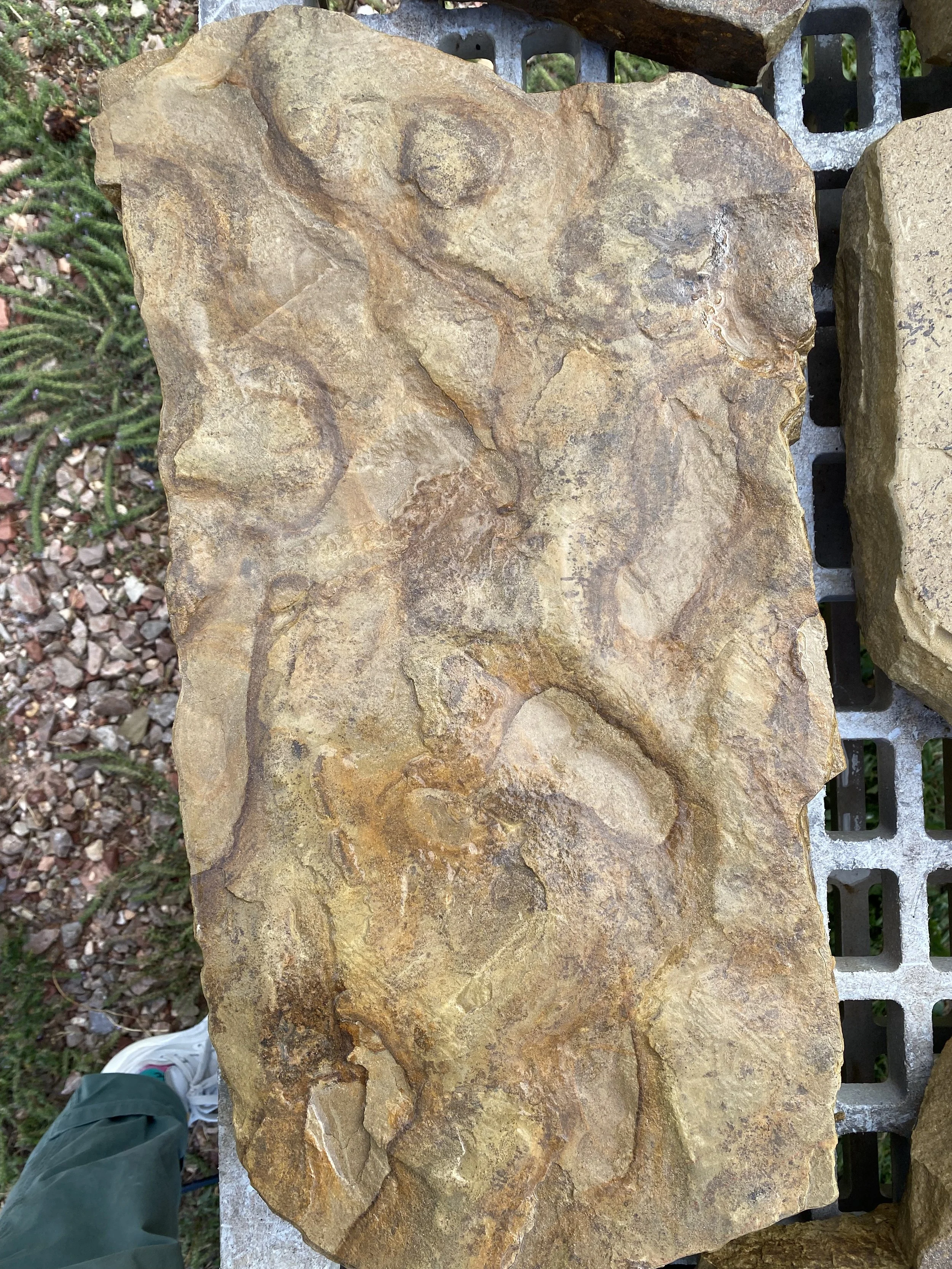 Close-up of a textured stone with varying shades of brown and tan on a metal surface outdoors.