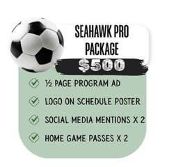 sponsorshipgraphic3.png