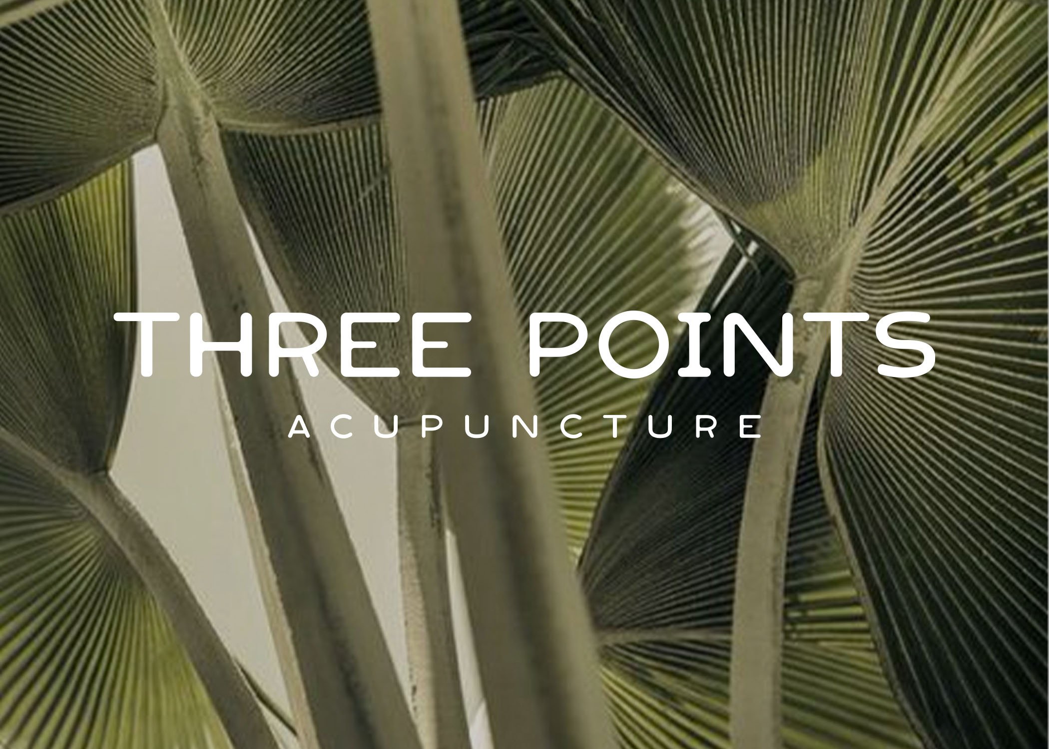 Three Points Acupuncture 