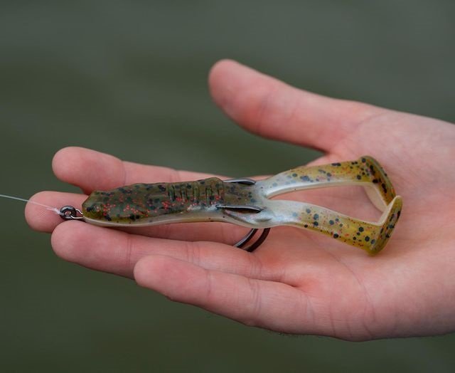 paddle frog.jpg
