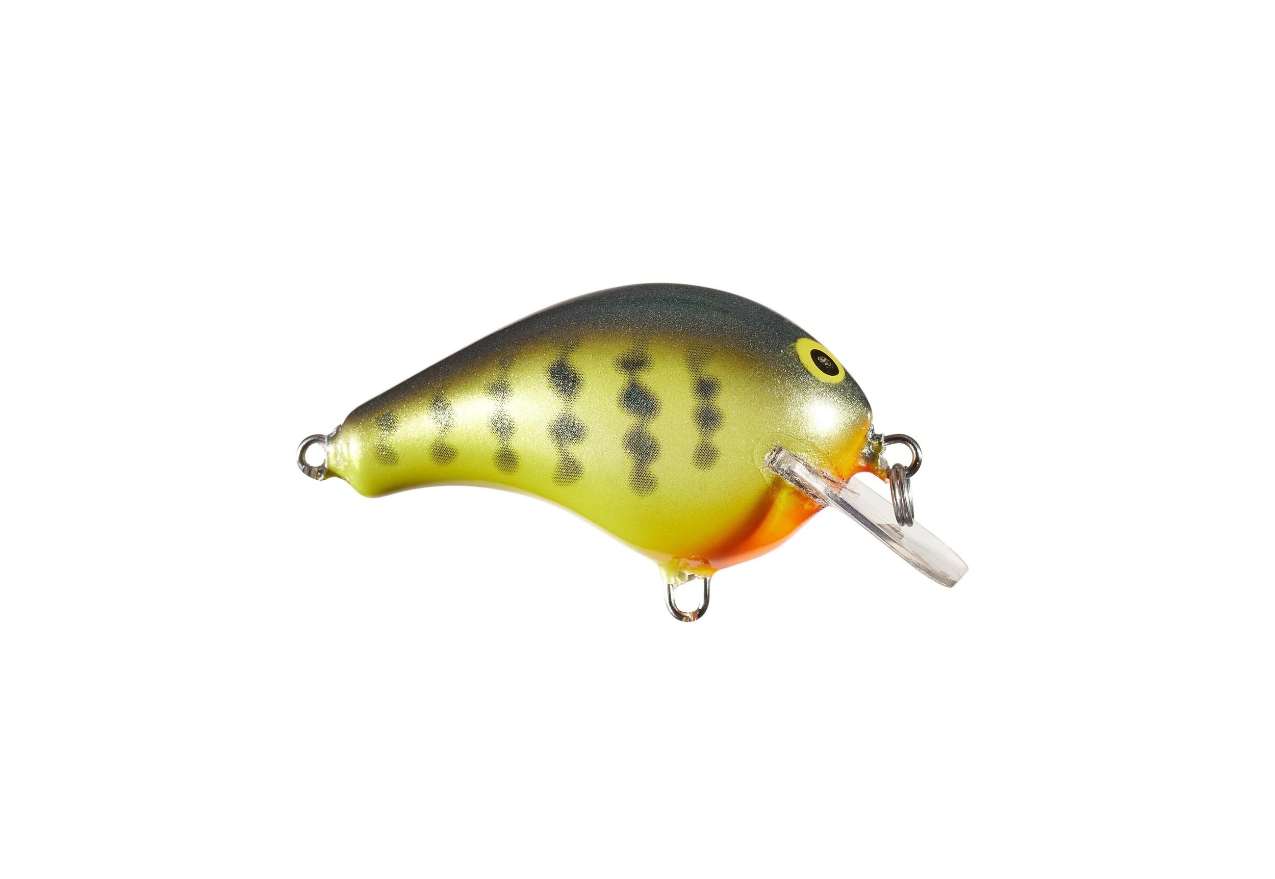 bag b1 orng belly gill.jpg