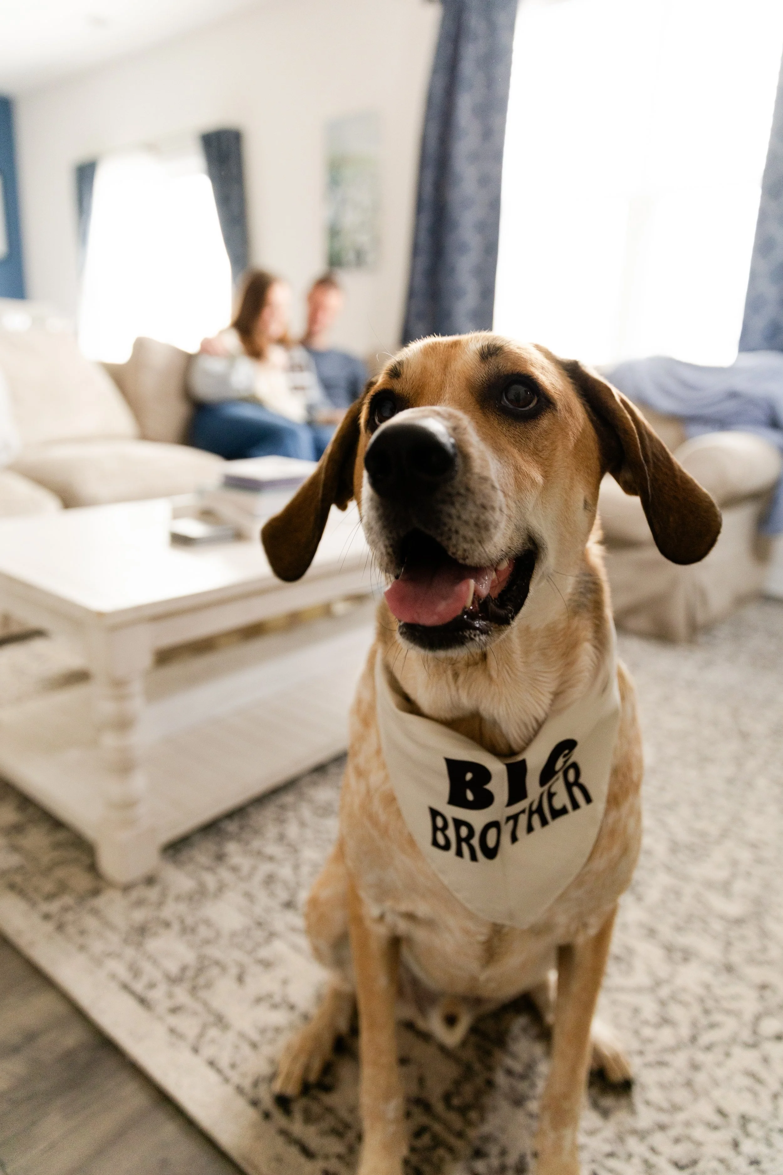 in home photo session myrtle beach 