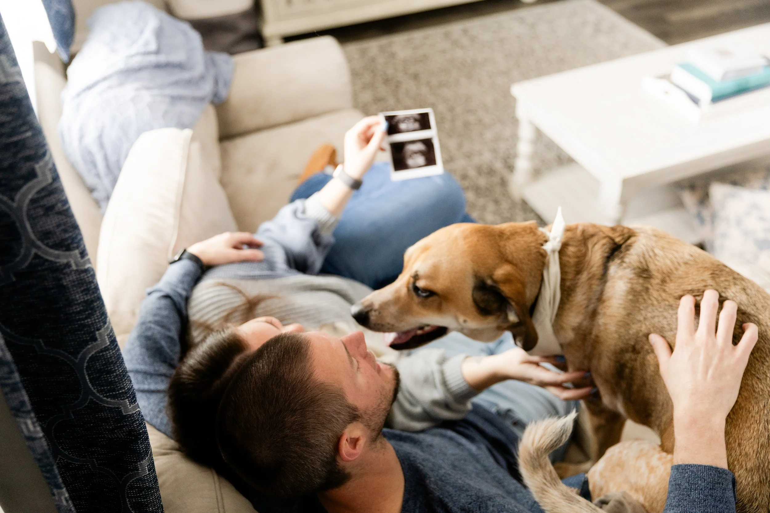 in home photo session myrtle beach with dog