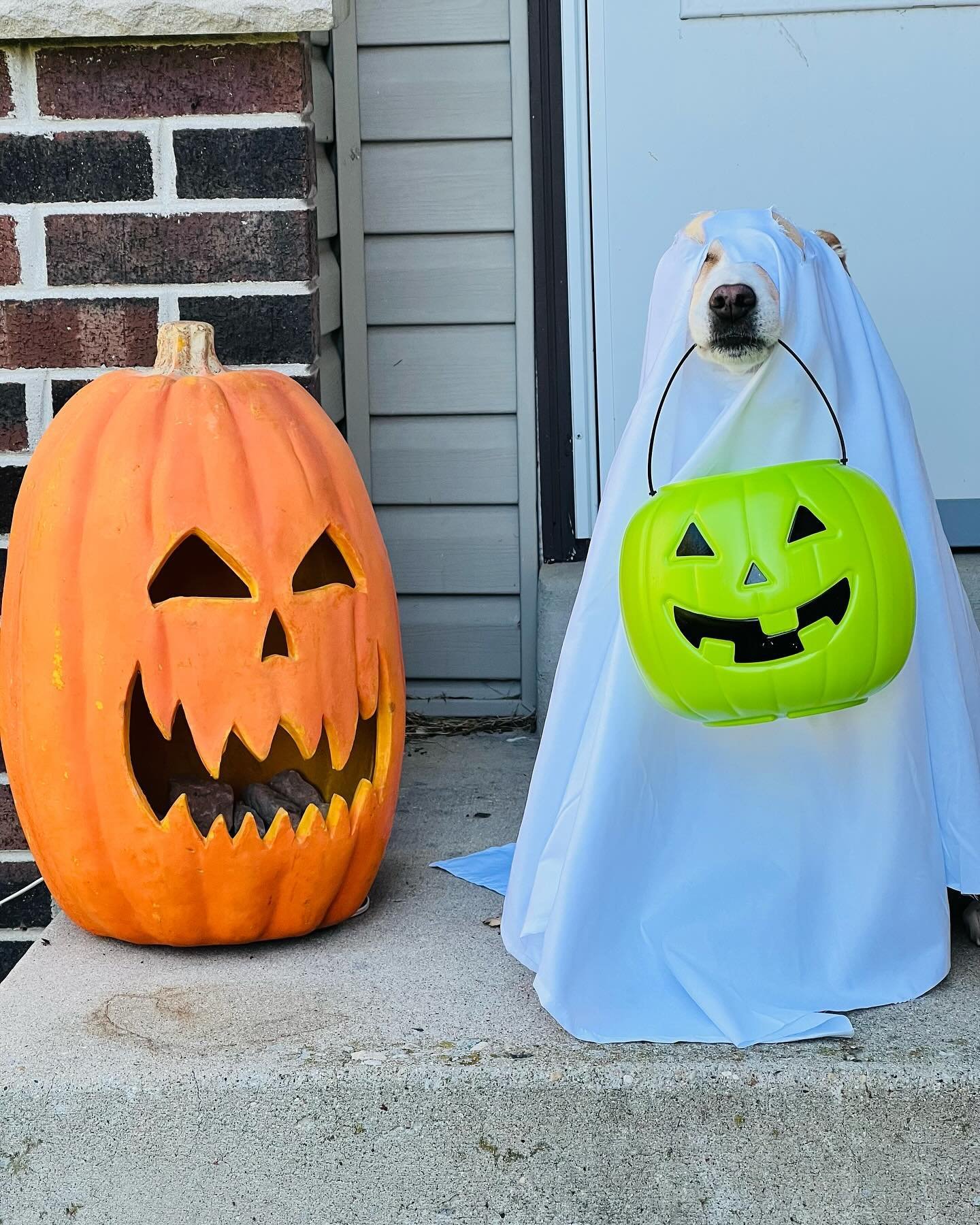 Happy Halloween!! 👻🎃