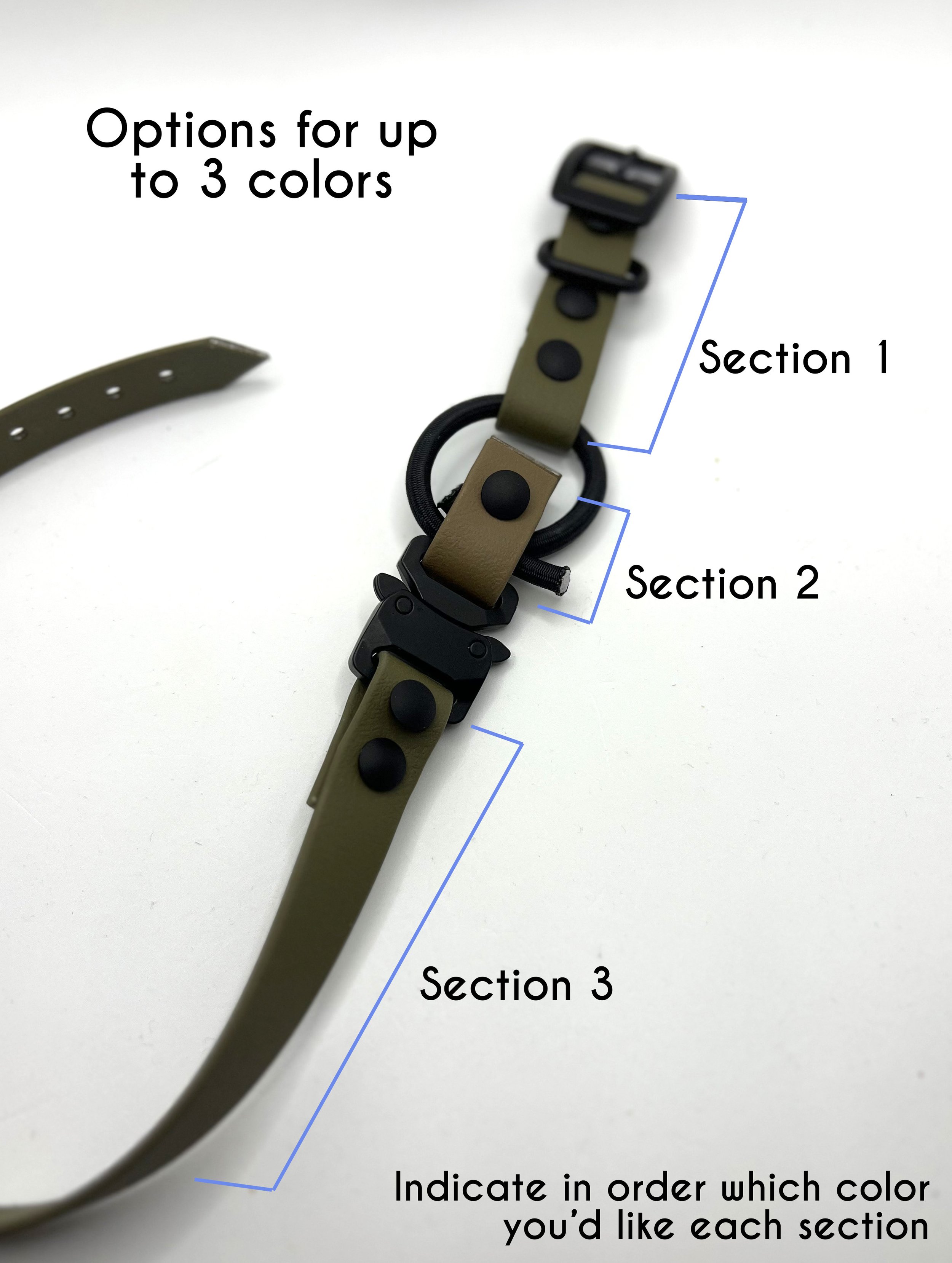 Color Sections.jpg