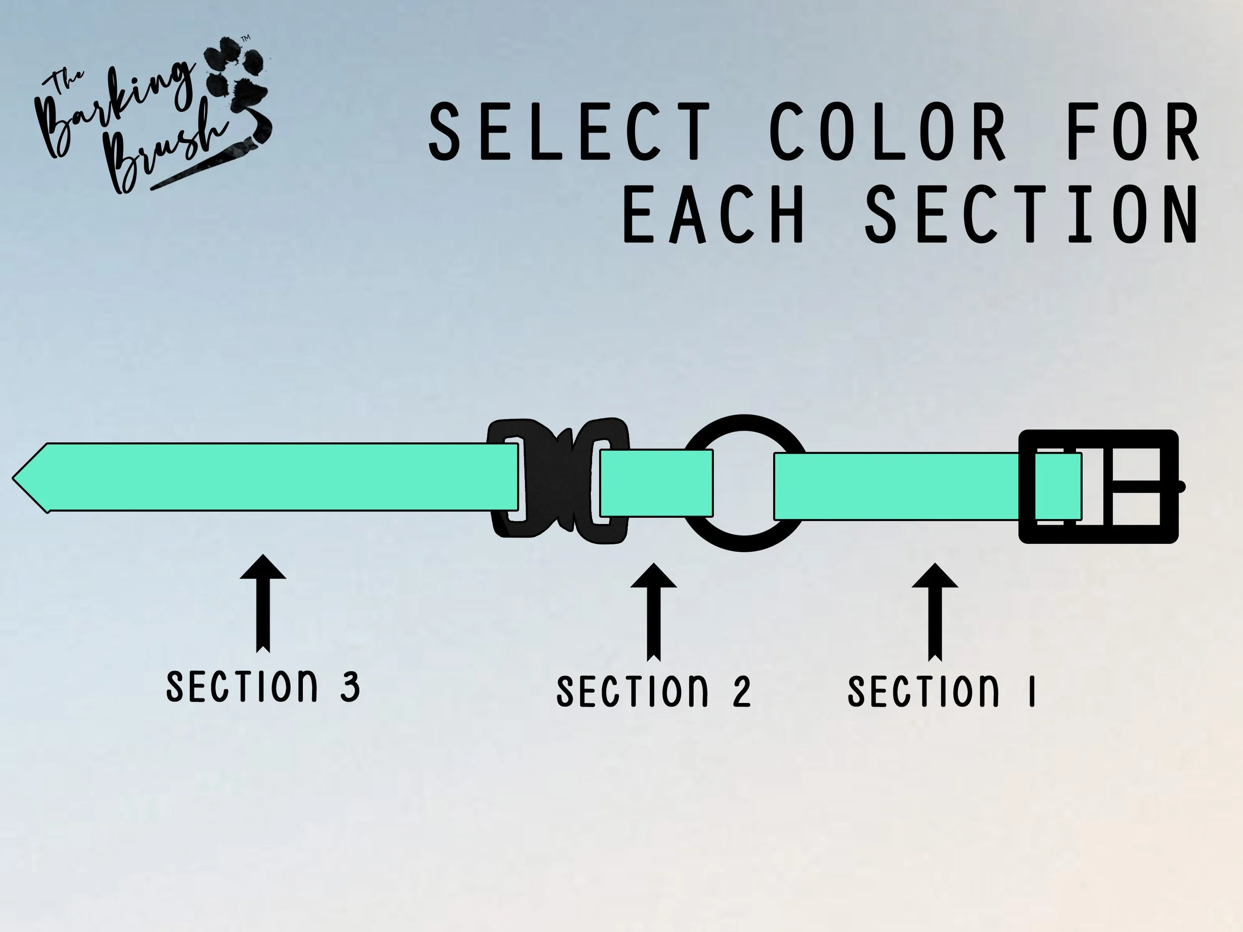 Color Sections.jpg