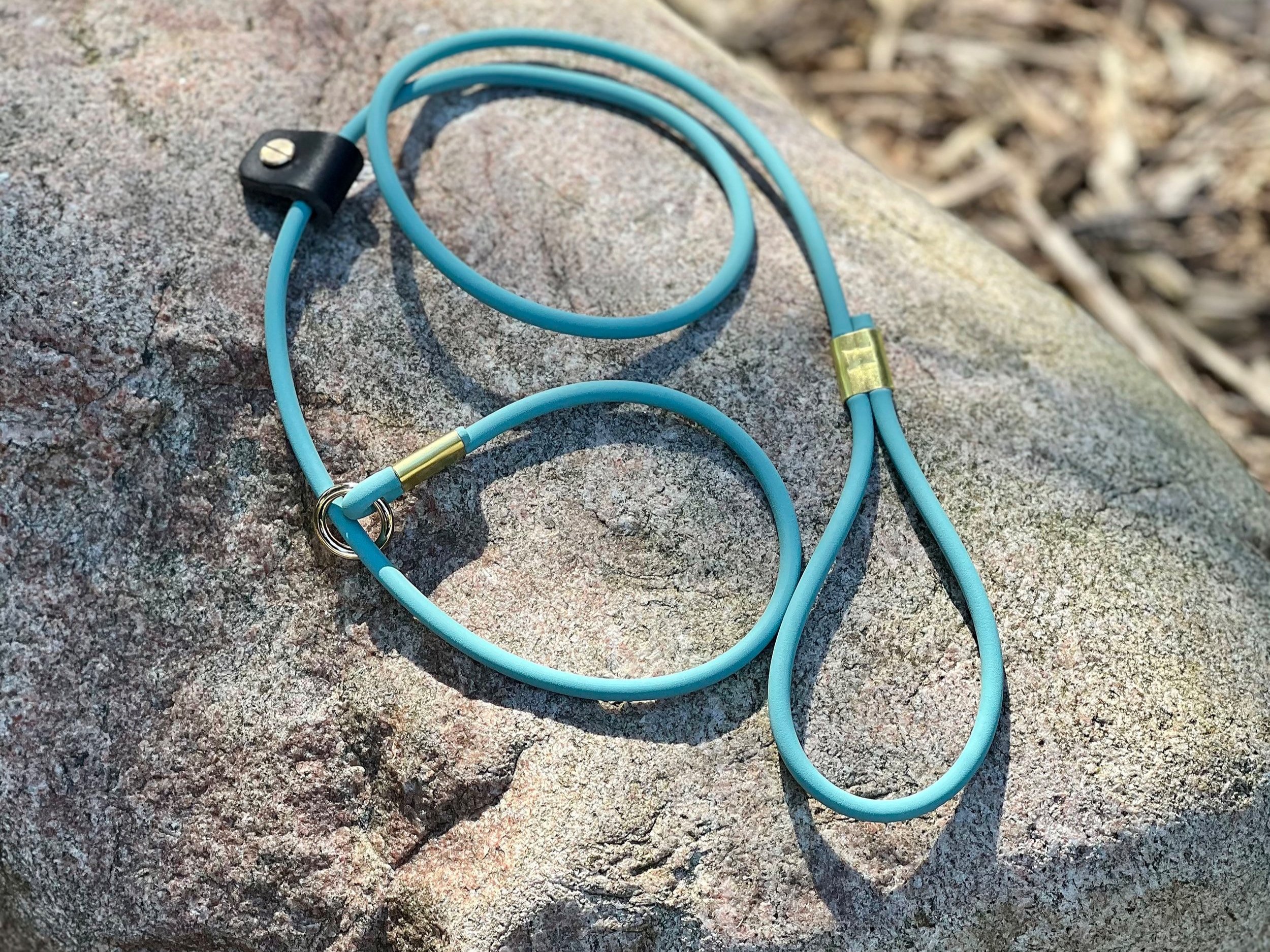 Leash Rock.jpg