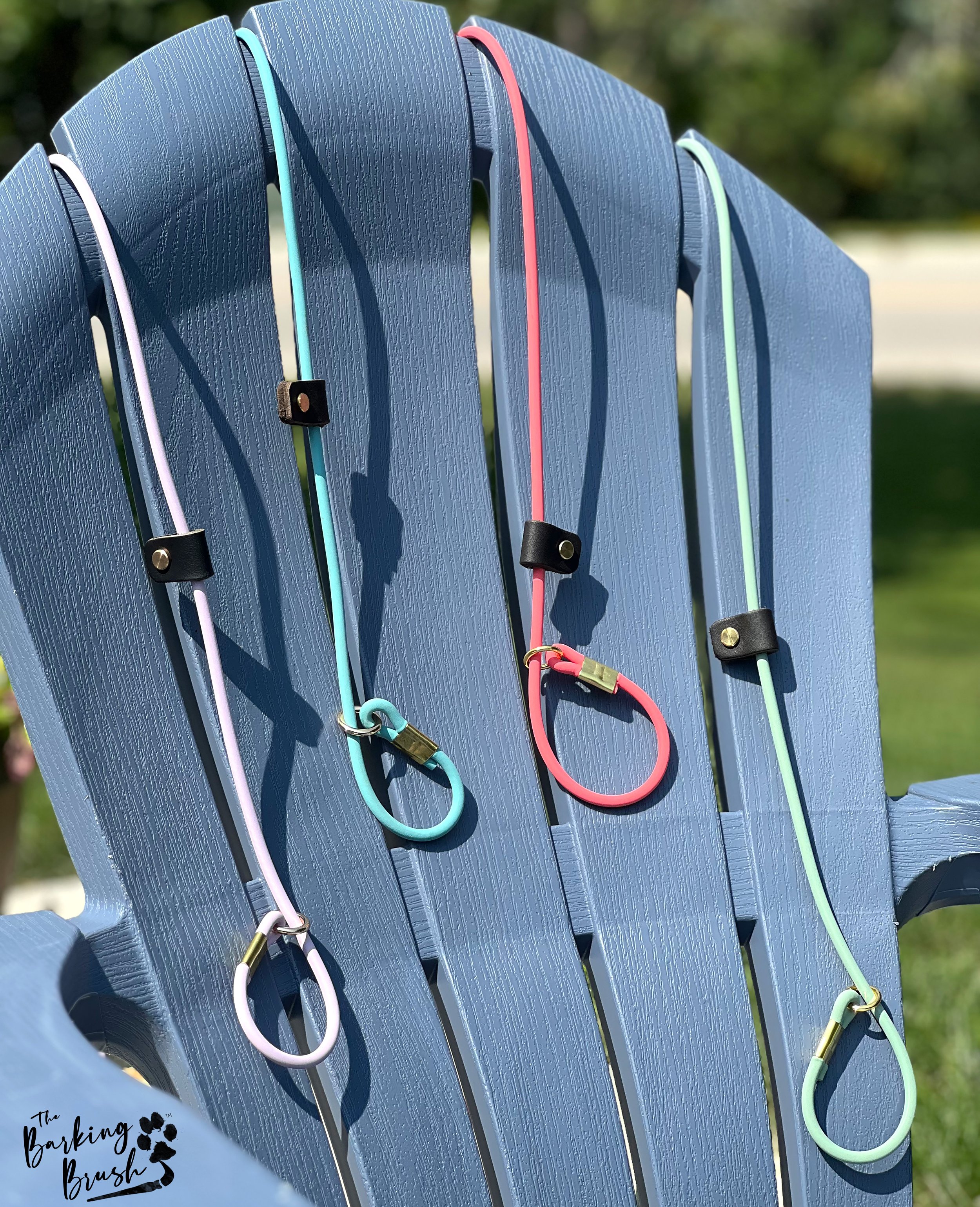 Leashes on Chair.jpg