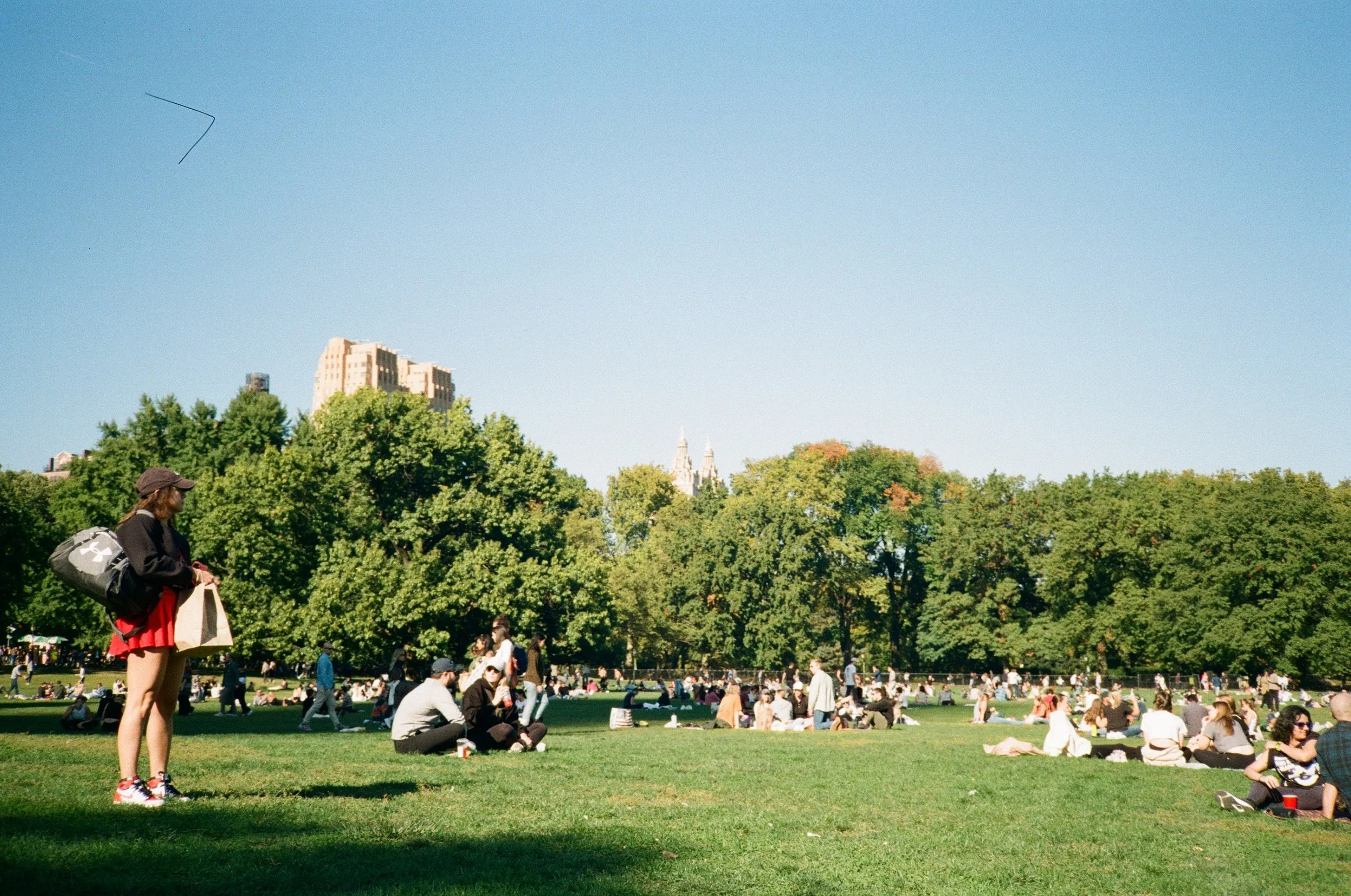 Best Parks in the World