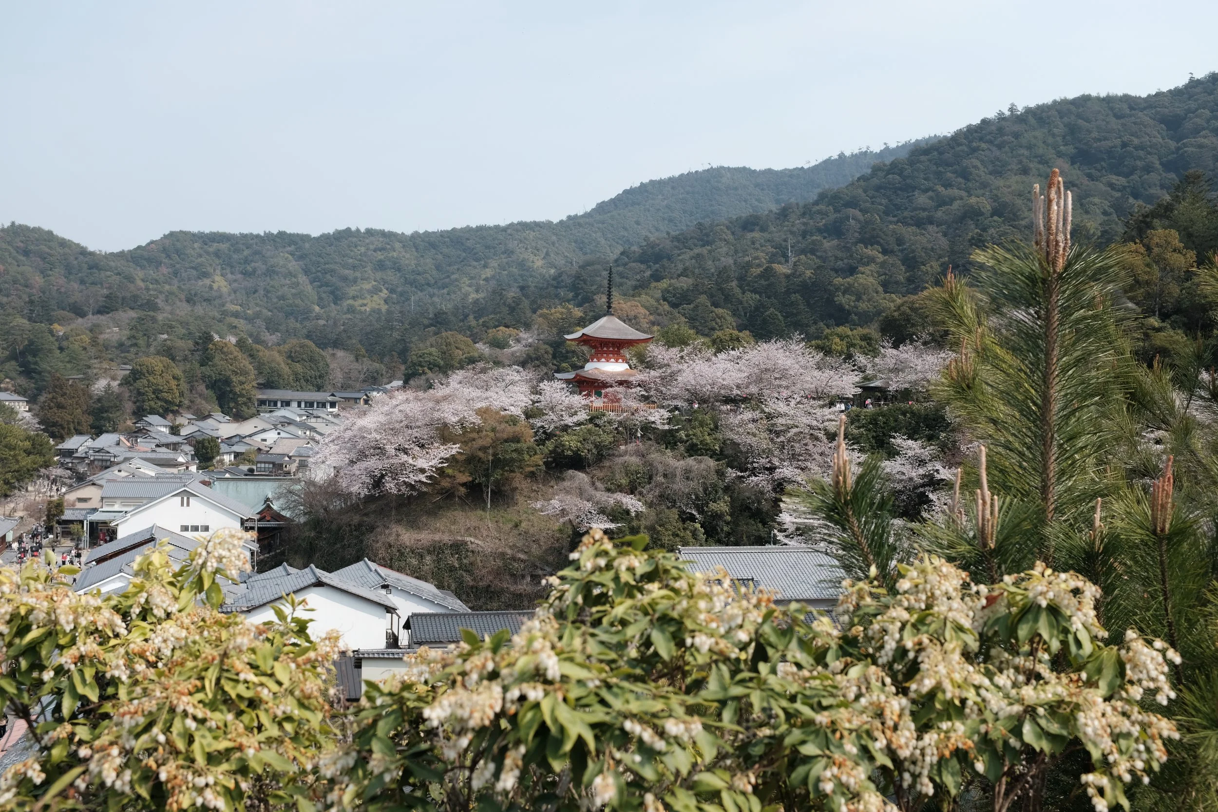 Japan