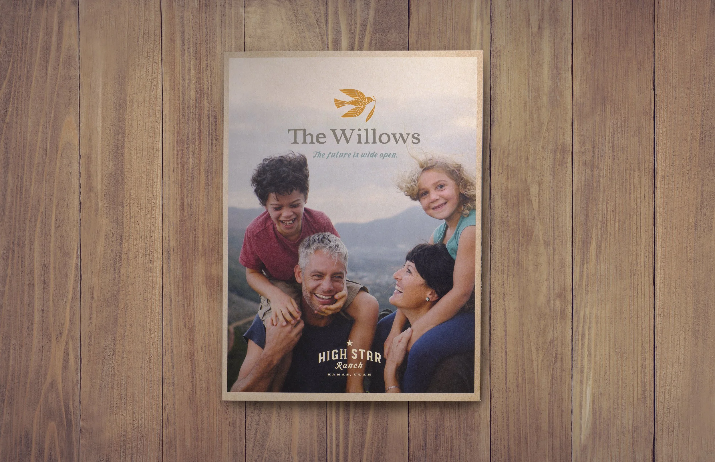 FOLDER_25-1003 thegoodfire WILLOWS 01A 4.jpg
