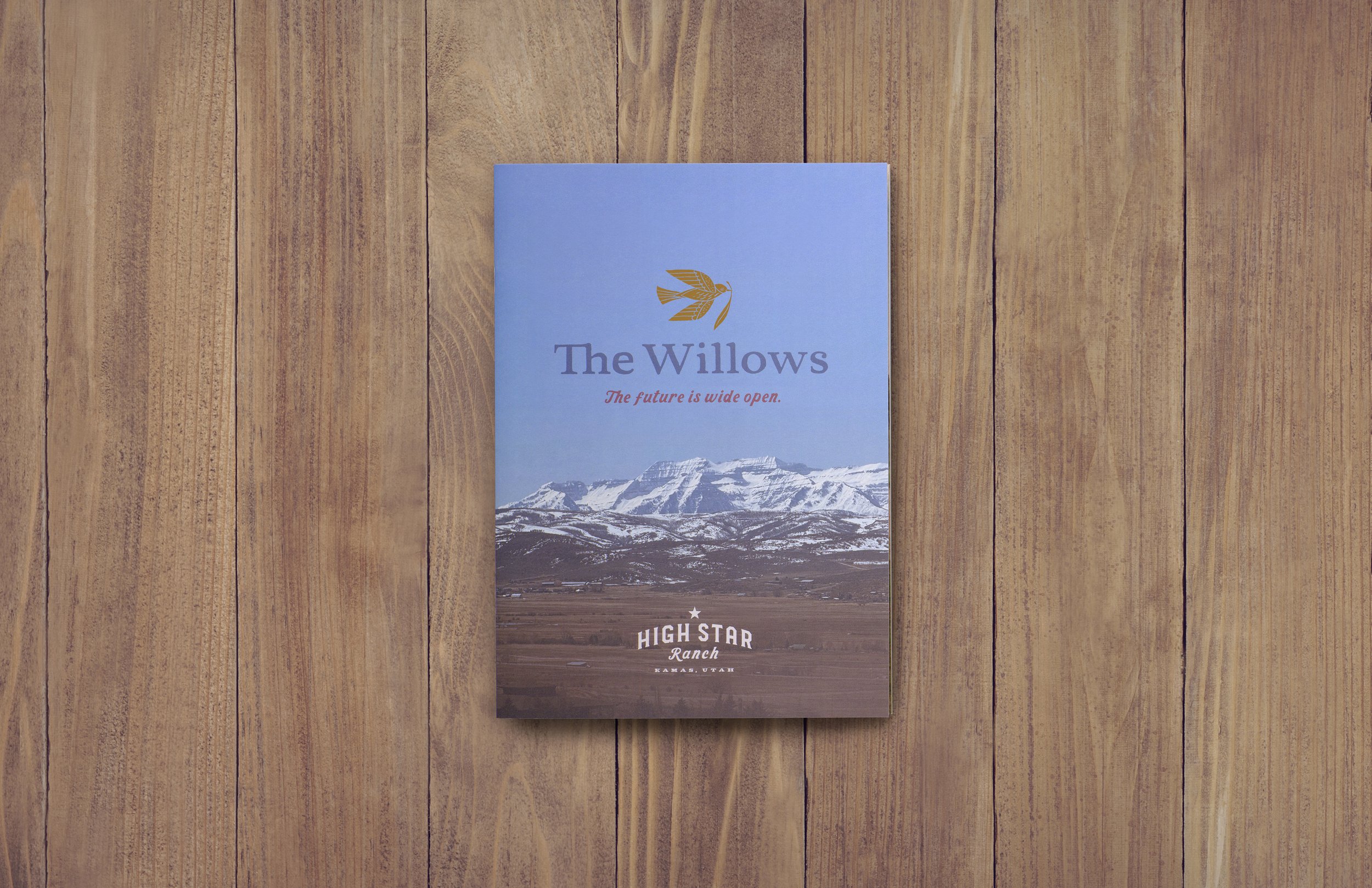 25-1003 thegoodfire WILLOWS 04 CROP 2A.jpg