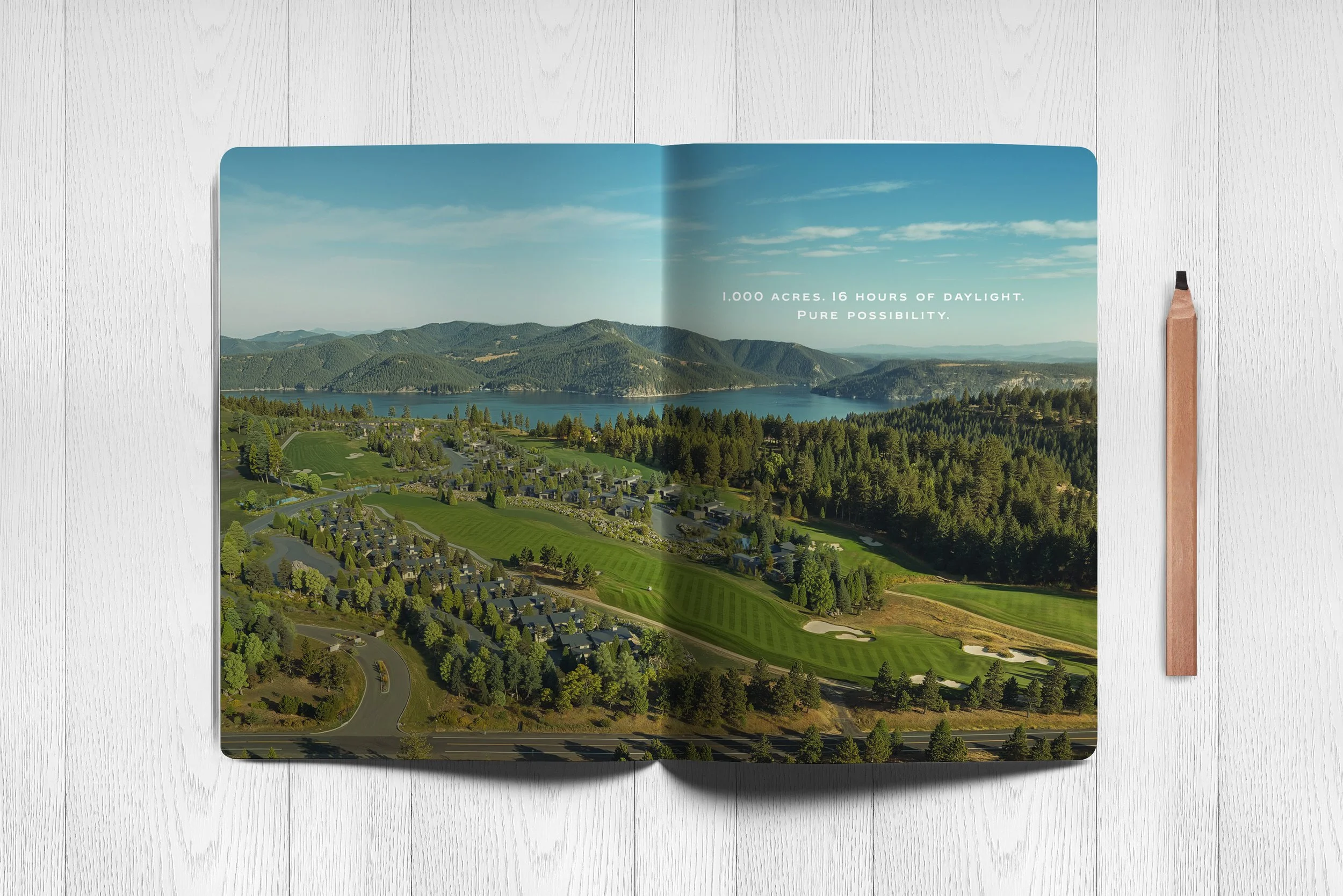 2_CDA-Field Guide_mockup.jpg