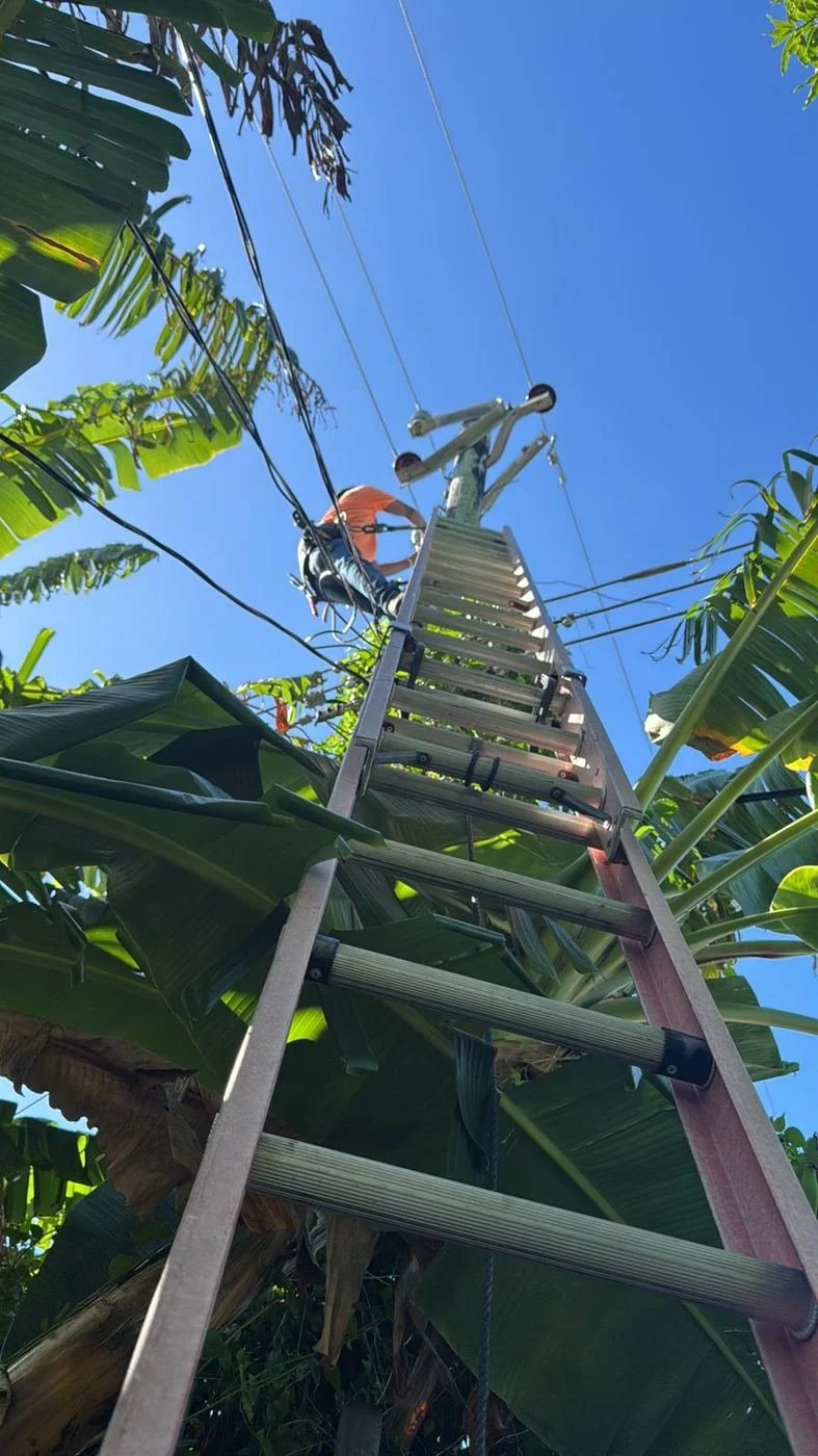 Utility Assist: power line maintenance on a distribution pole