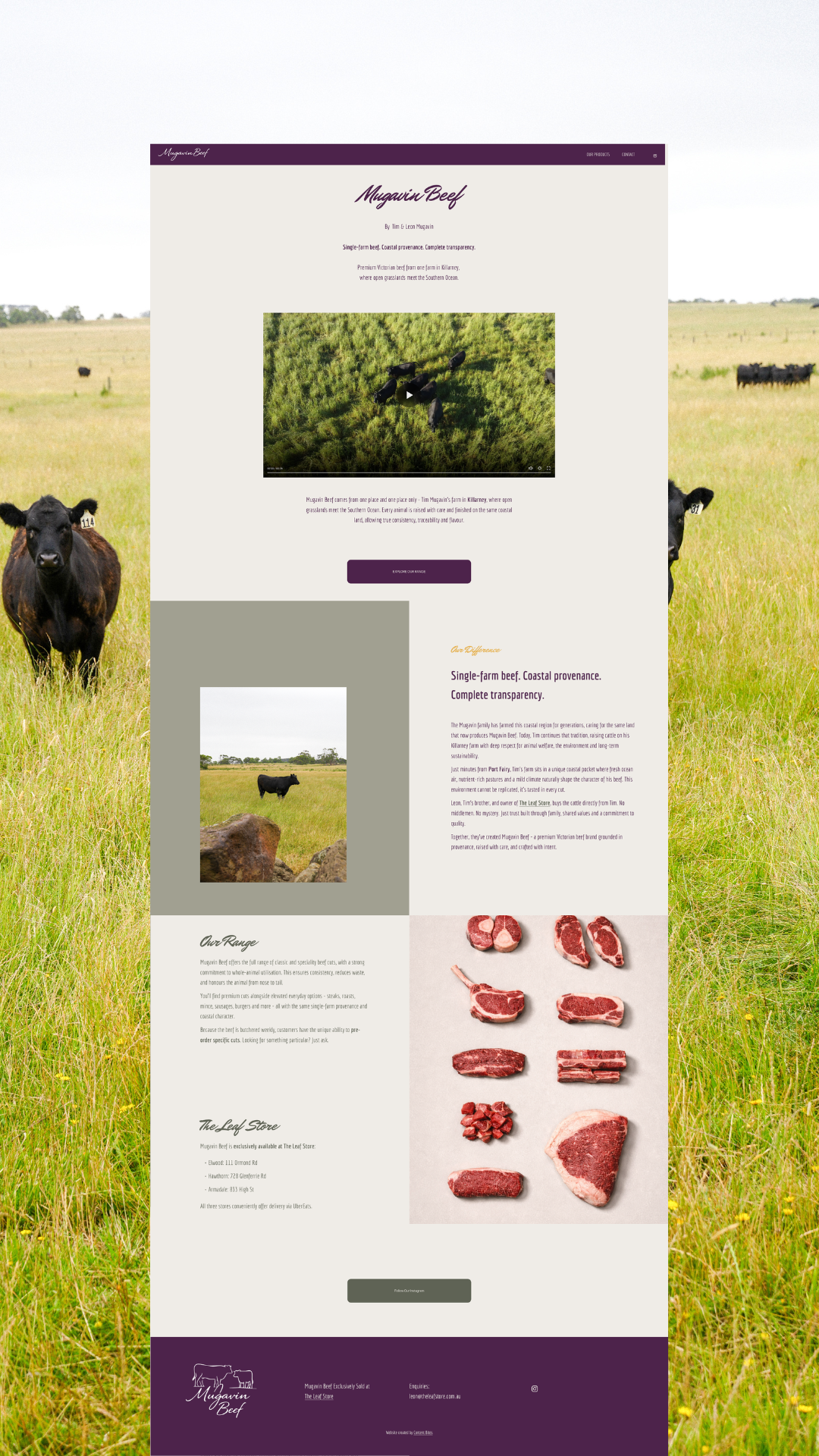 Content Bites - Mugavin Beef Brand Build 1.png