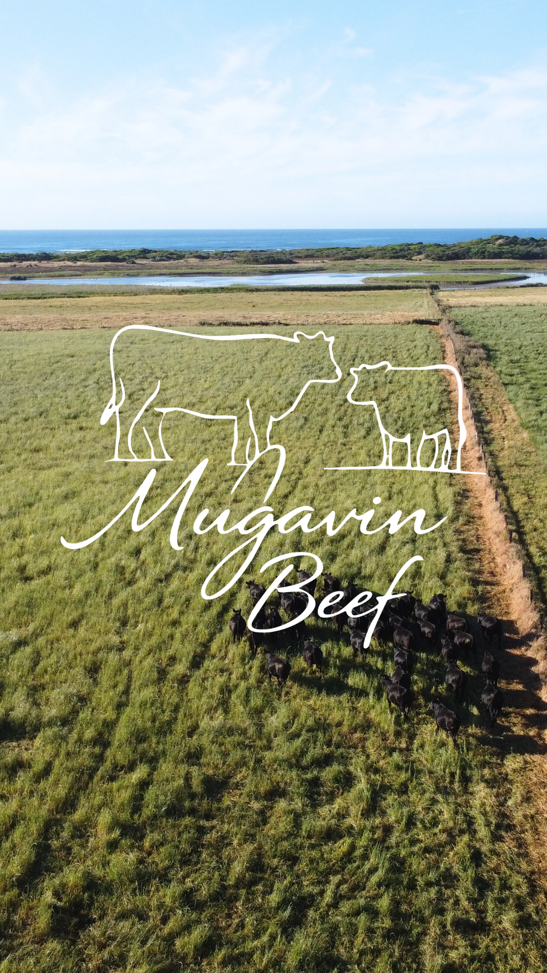 Content Bites - Mugavin Beef Brand Build 3.png