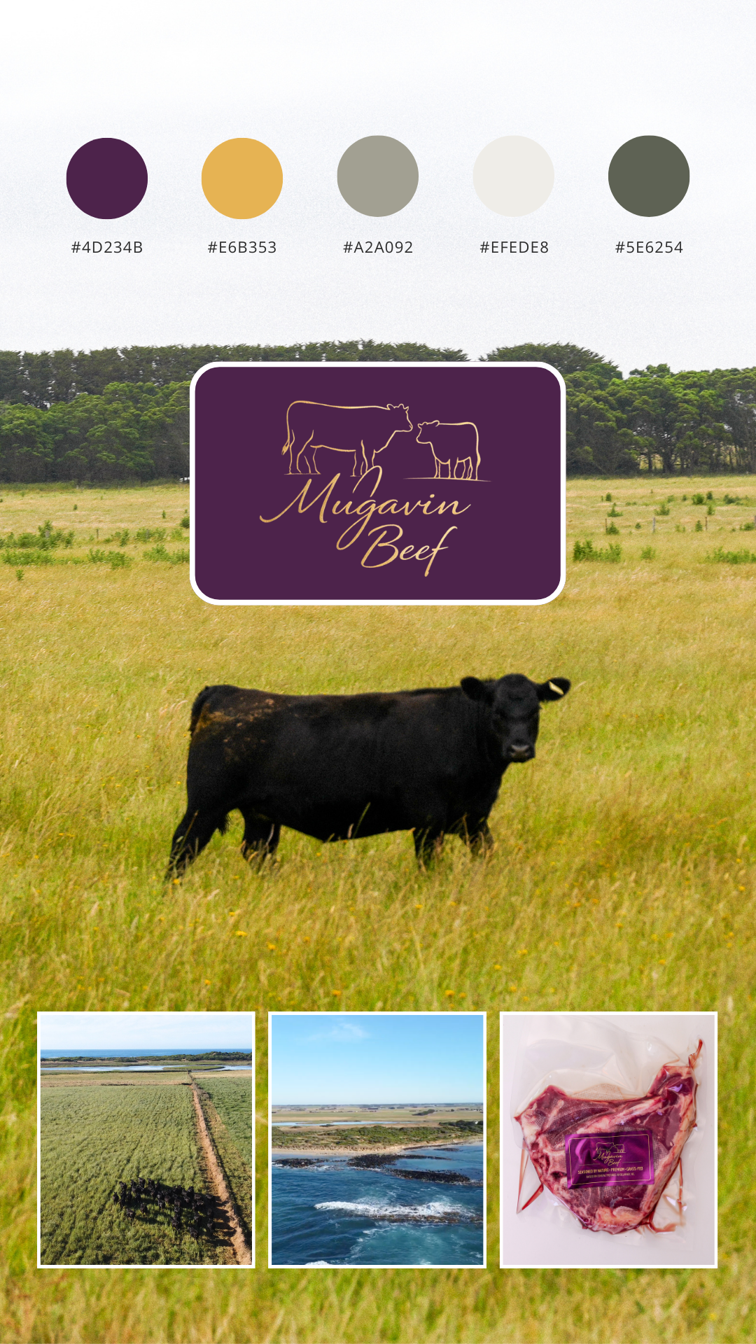 Content Bites - Mugavin Beef Brand Build.png