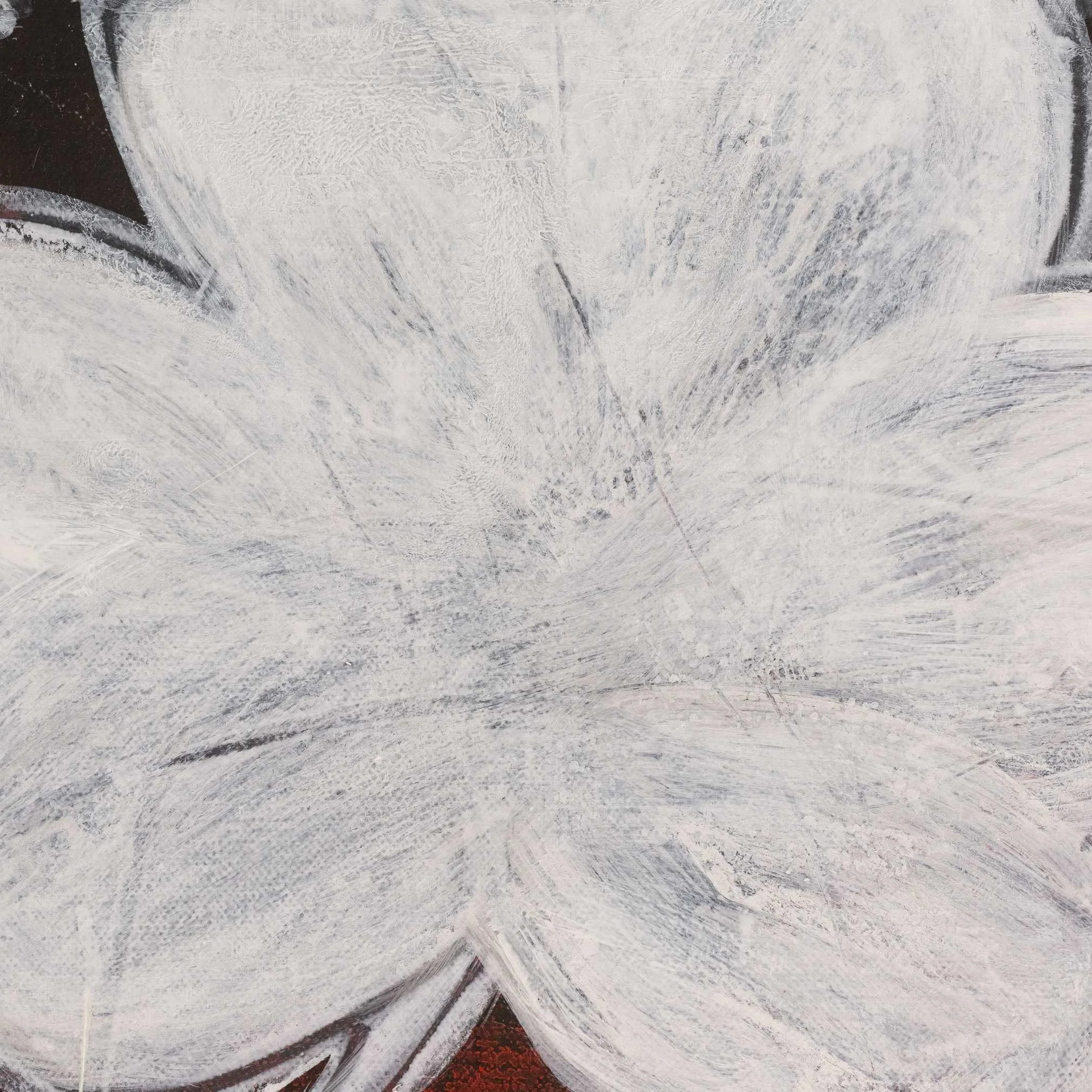 Contemporary abstract flower painting Petal 31 by Bian Jing