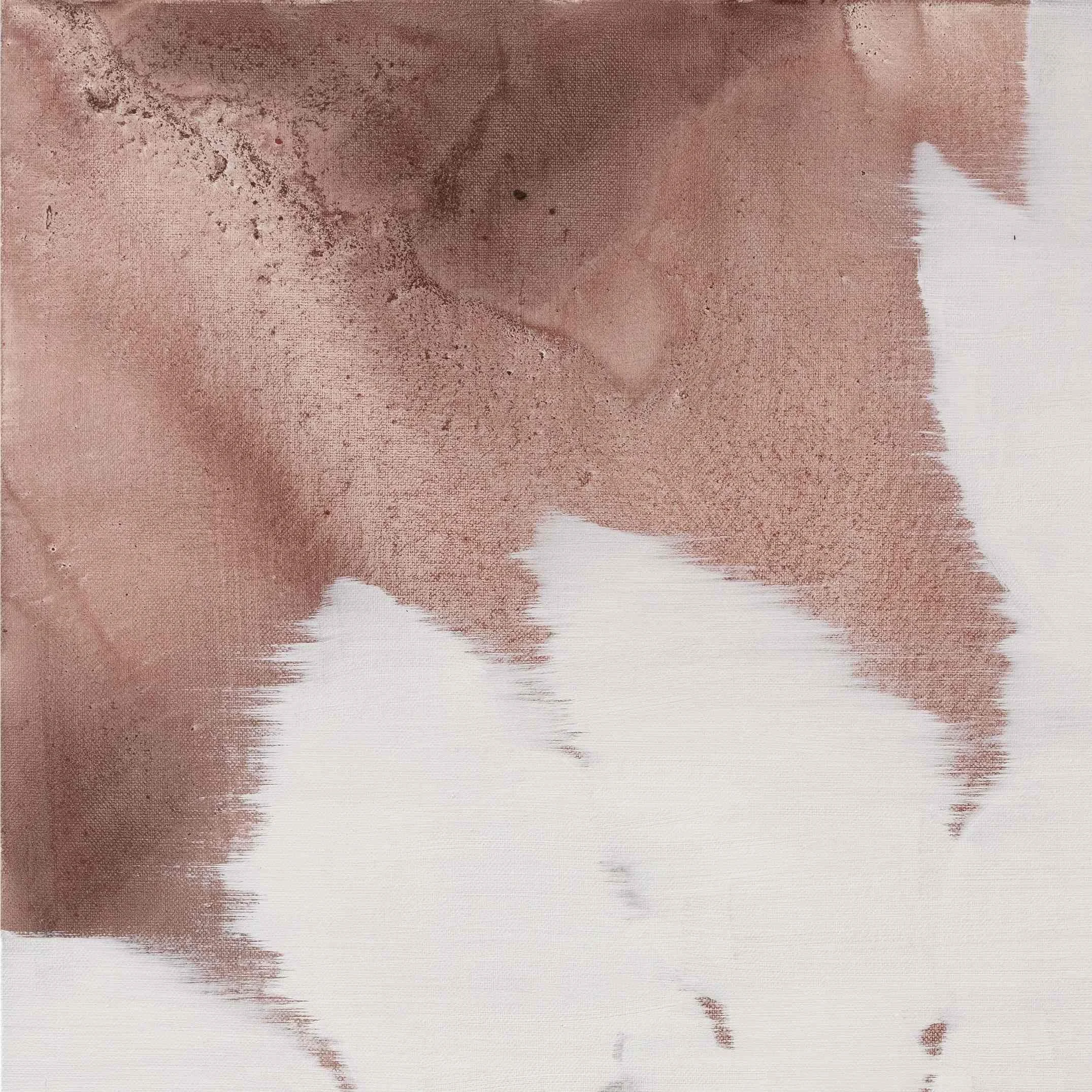 Bian Jing Petal 34 2025 square abstract artwork in warm terracotta tones