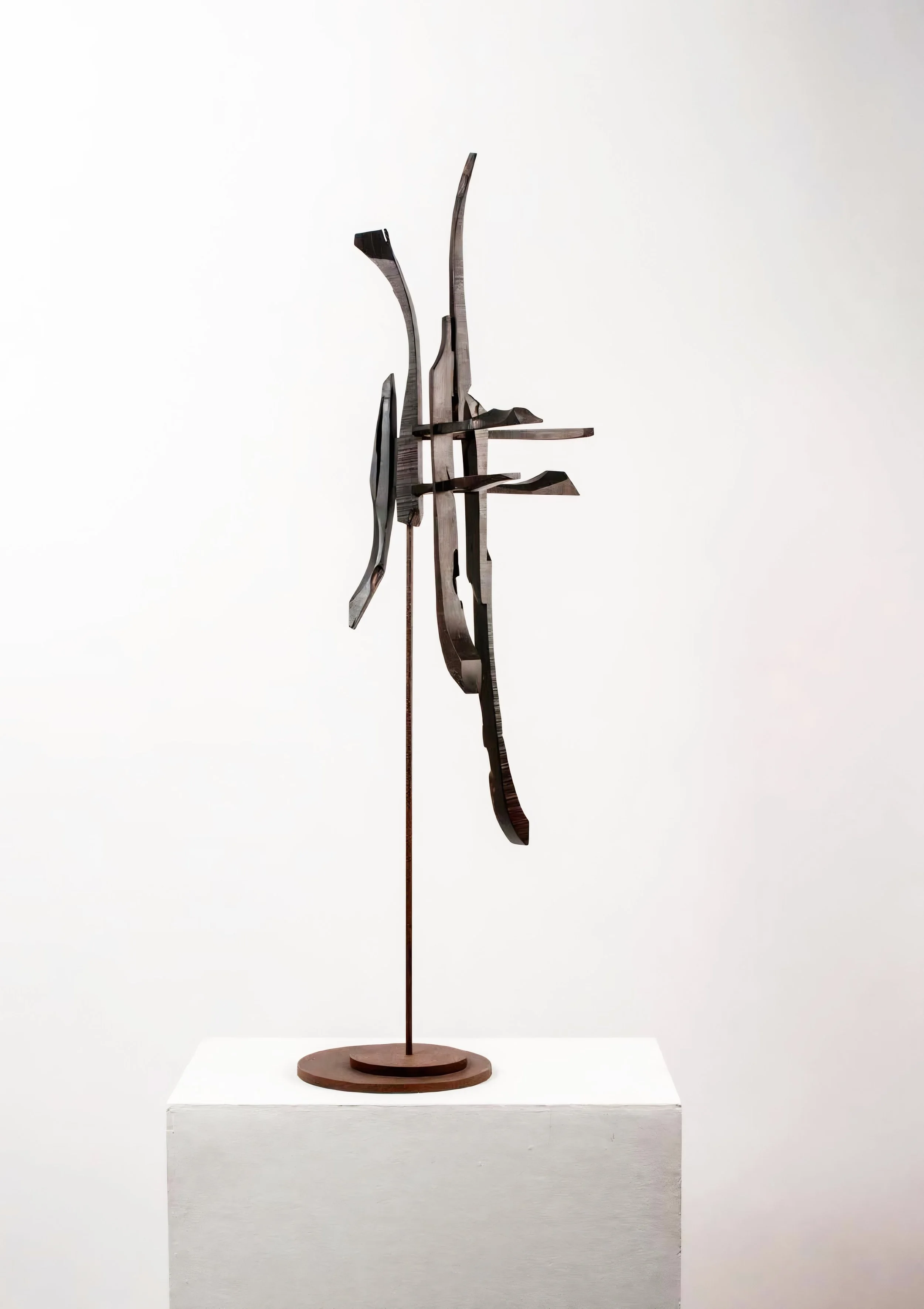 Pablo Leonardo Martínez wooden artwork with suspended shapes and sculptural tension.