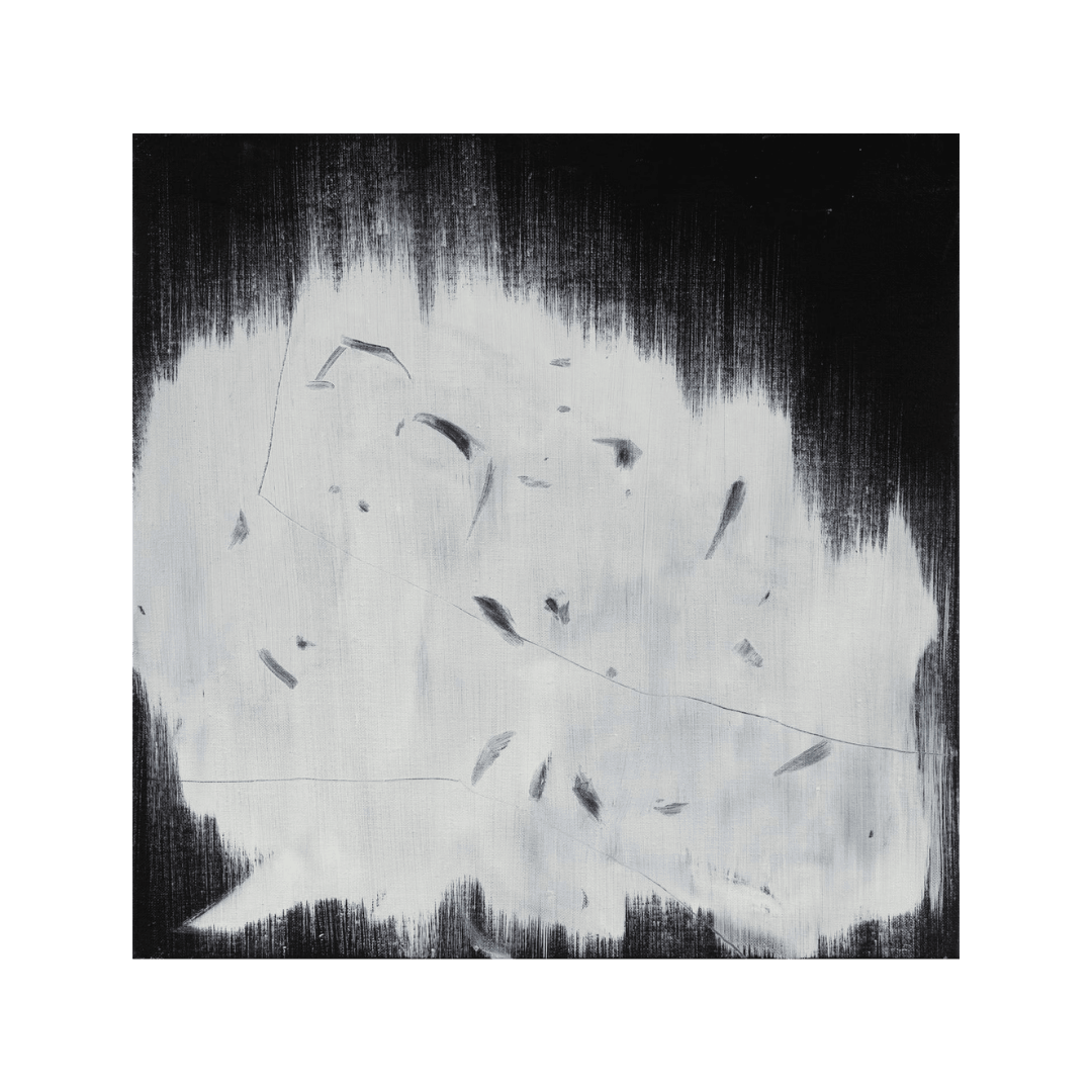 Petal 22 by Bian Jing contemporary black and white acrylic painting