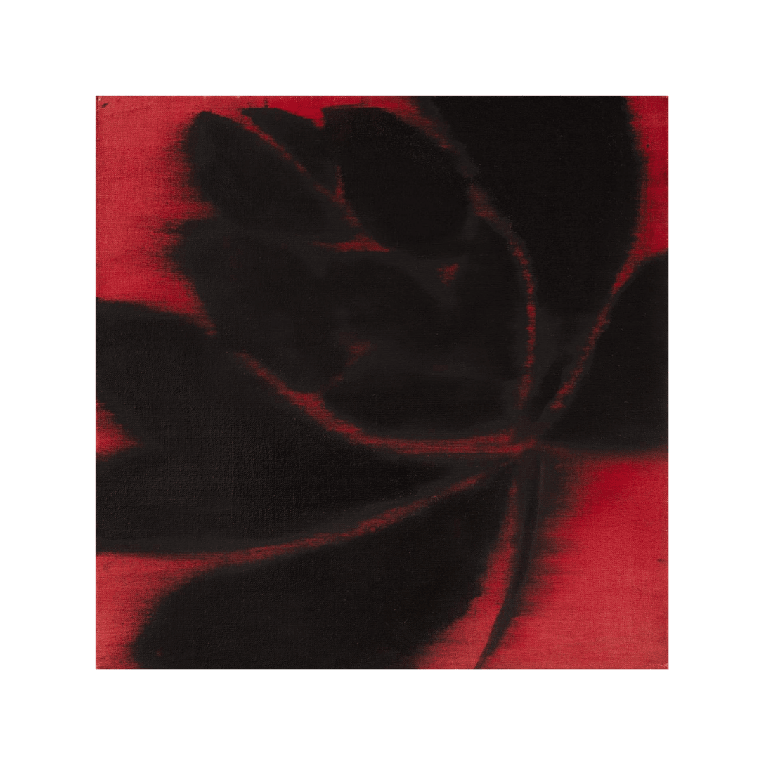 Petal 28 by Bian Jing contemporary acrylic painting with black petal forms on red background
